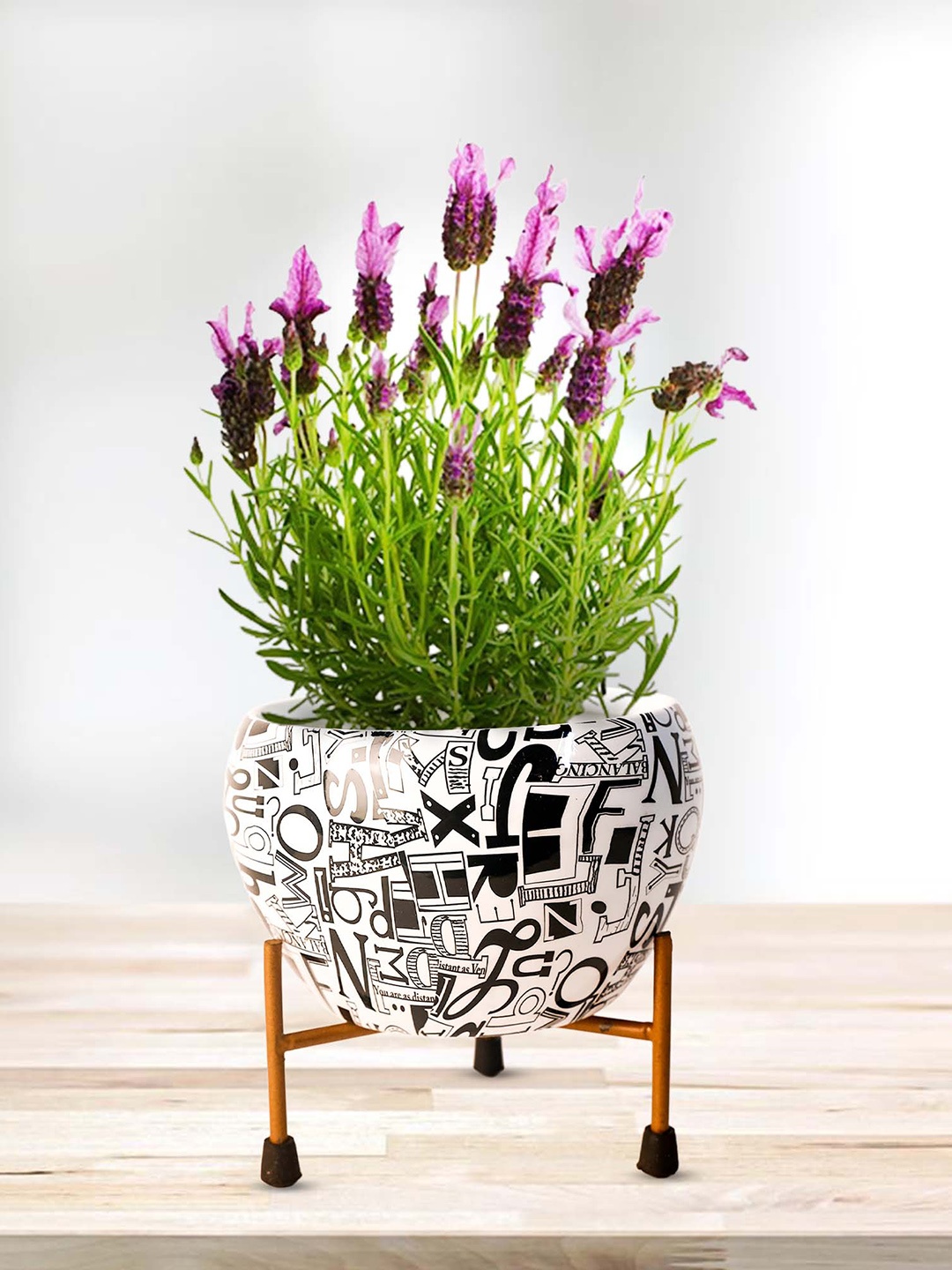 

Peng Essentials REVA White & Black 2 Pieces Printed Plant Vase With Stands