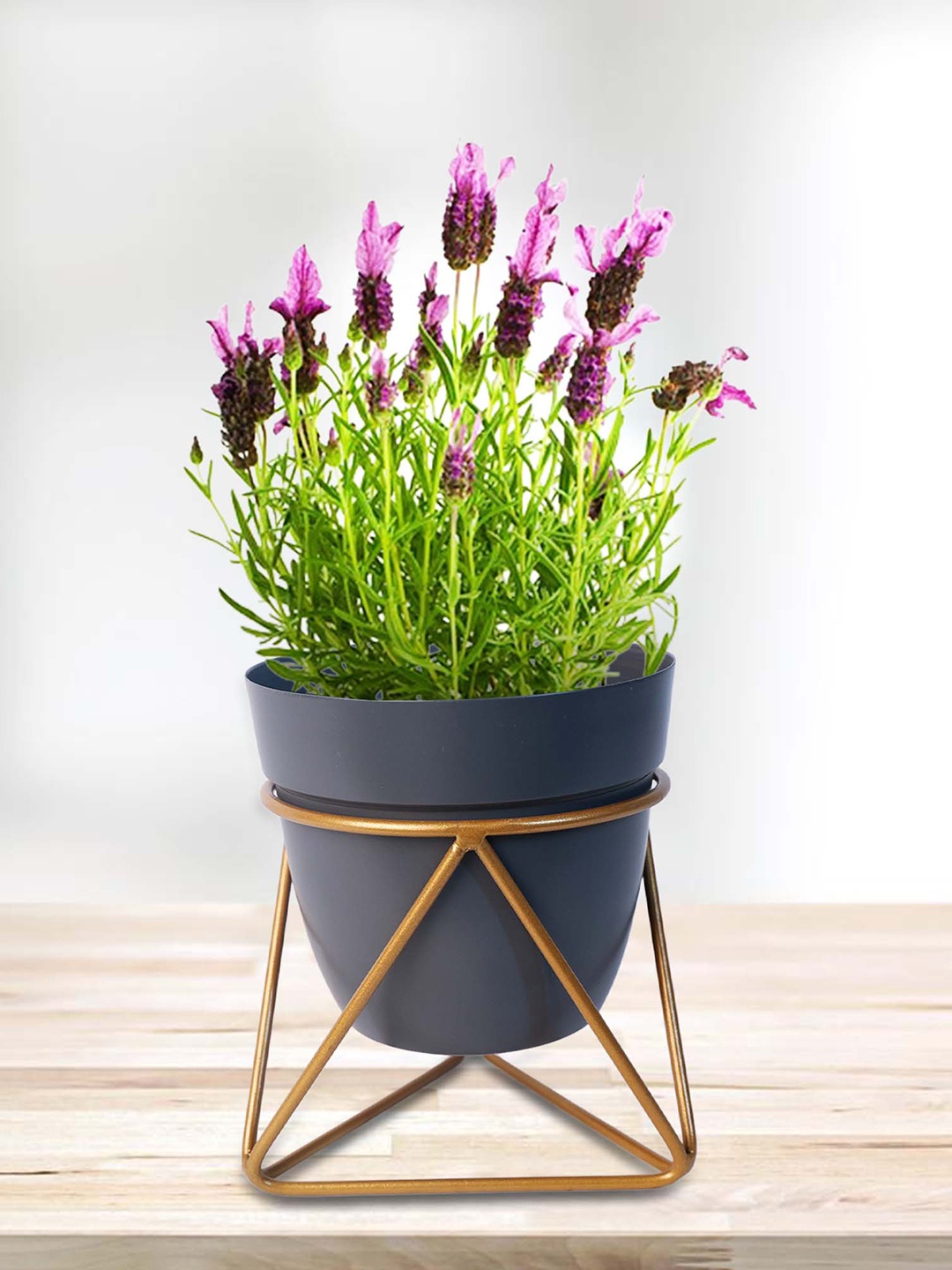 

Peng Essentials Navy Blue Metal Indoor Planter With Stand