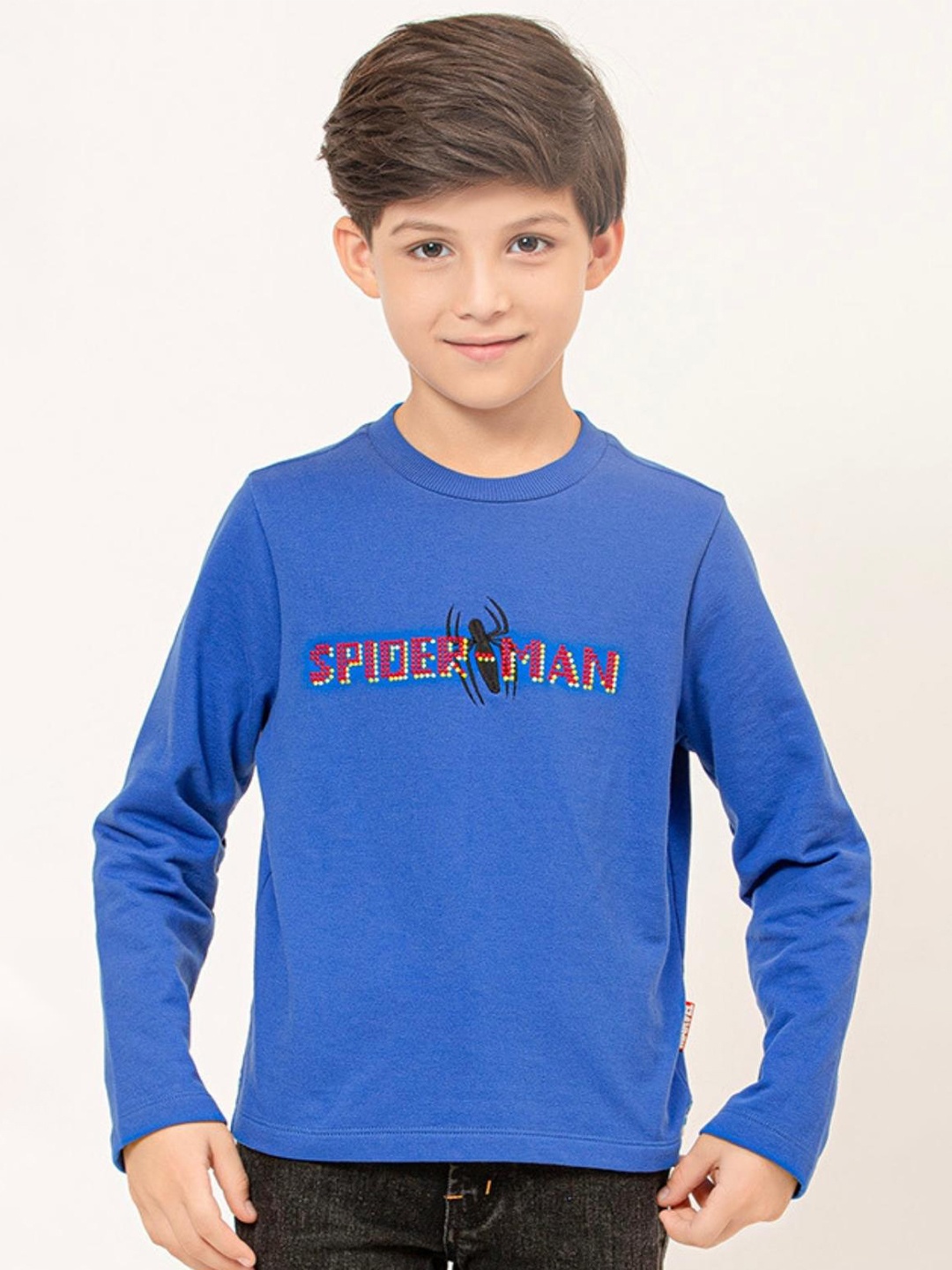 

One Friday Boys Spider-Man Printed Sweatshirt, Blue