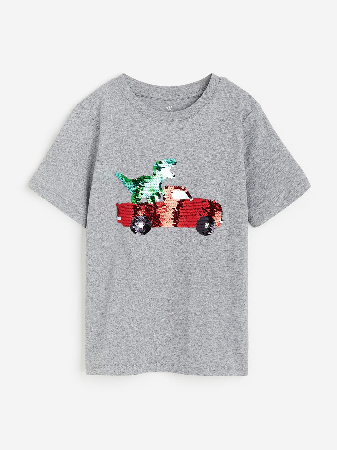 

H&M Boys Pure Cotton Interactive-Motif T-Shirt, Grey