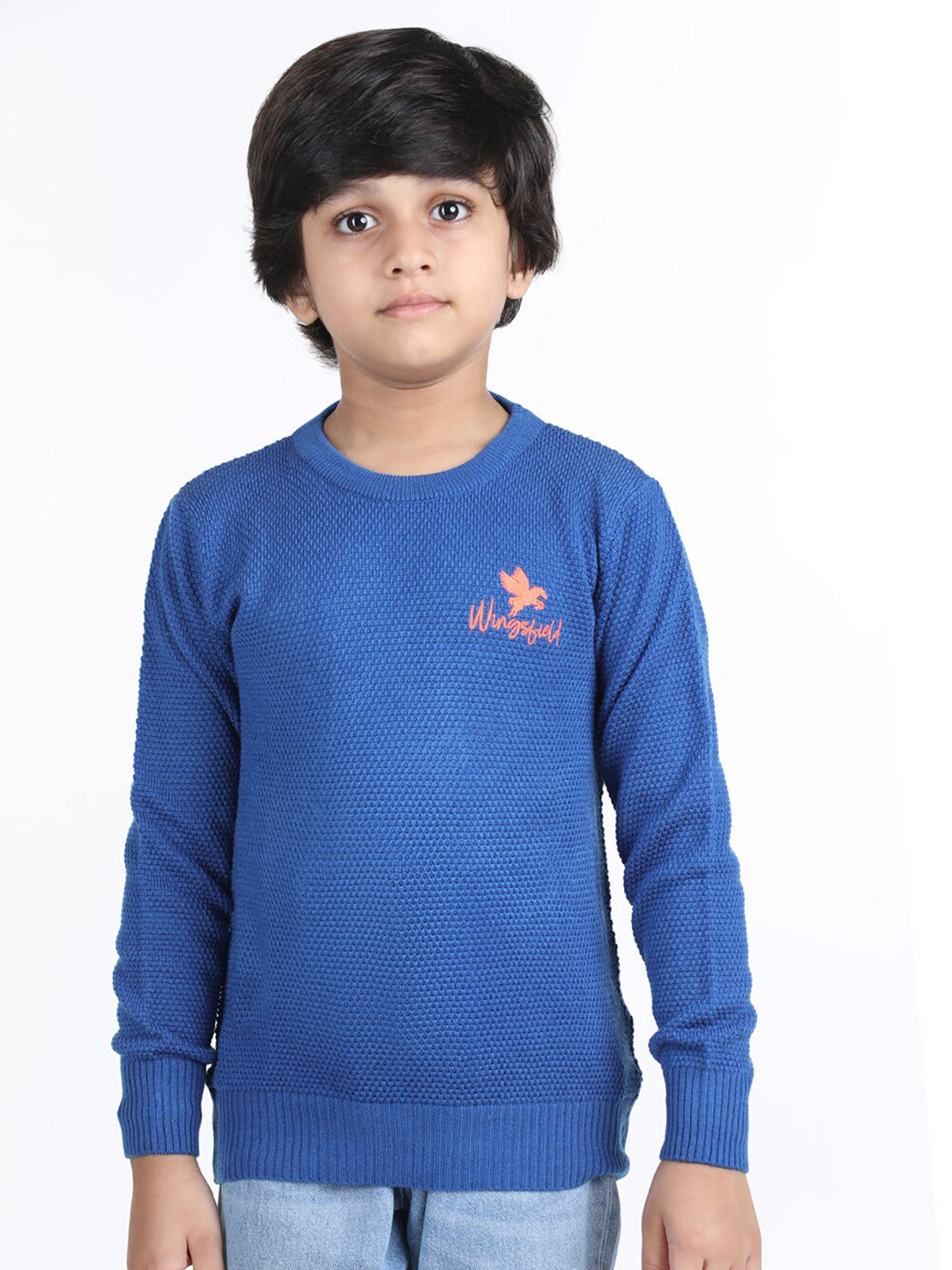 

Wingsfield Boys Self Design Acrylic Pullover, Blue