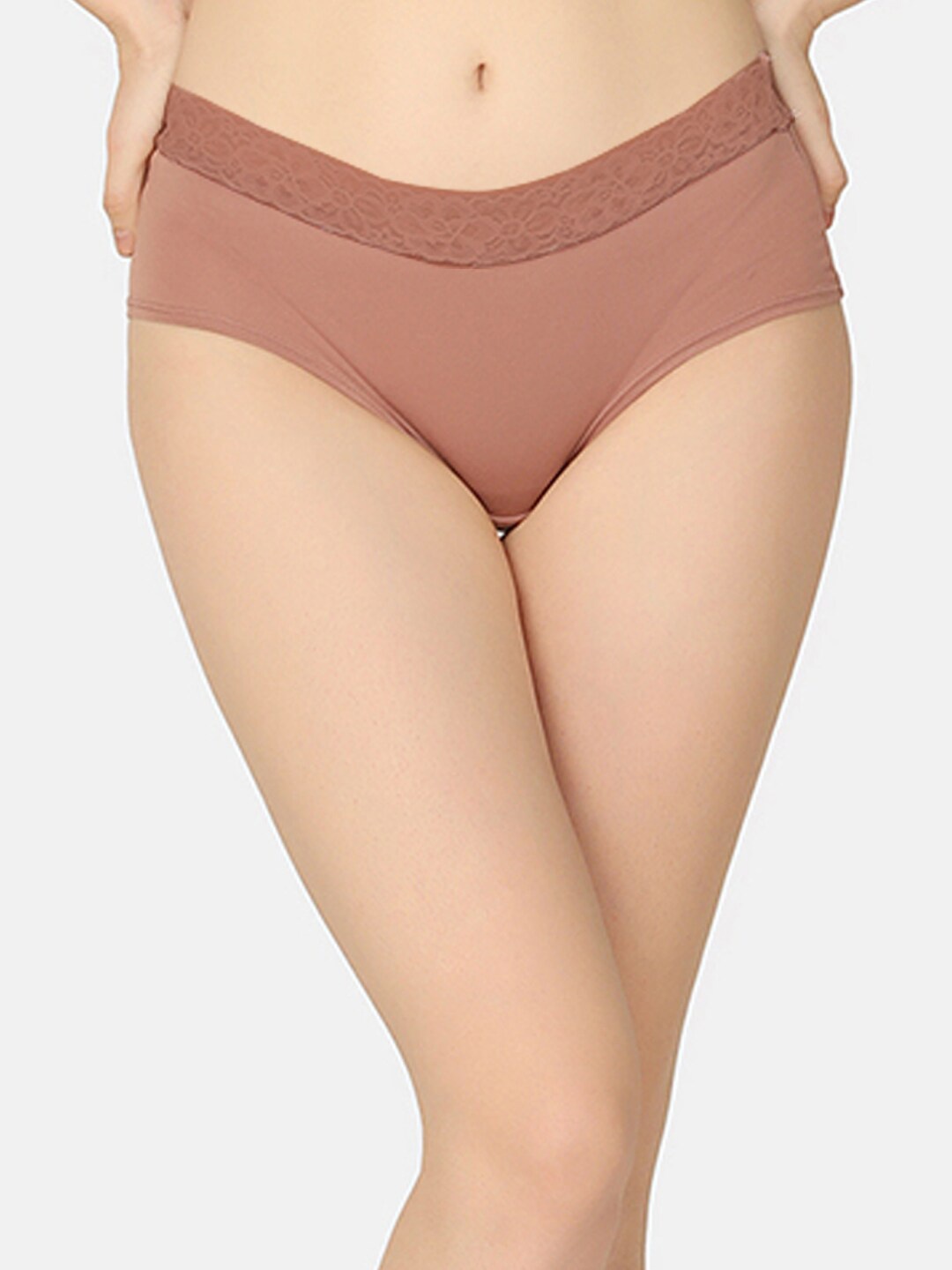 

Curvy Love Anti Microbial Organic Cotton Hipster Briefs, Brown
