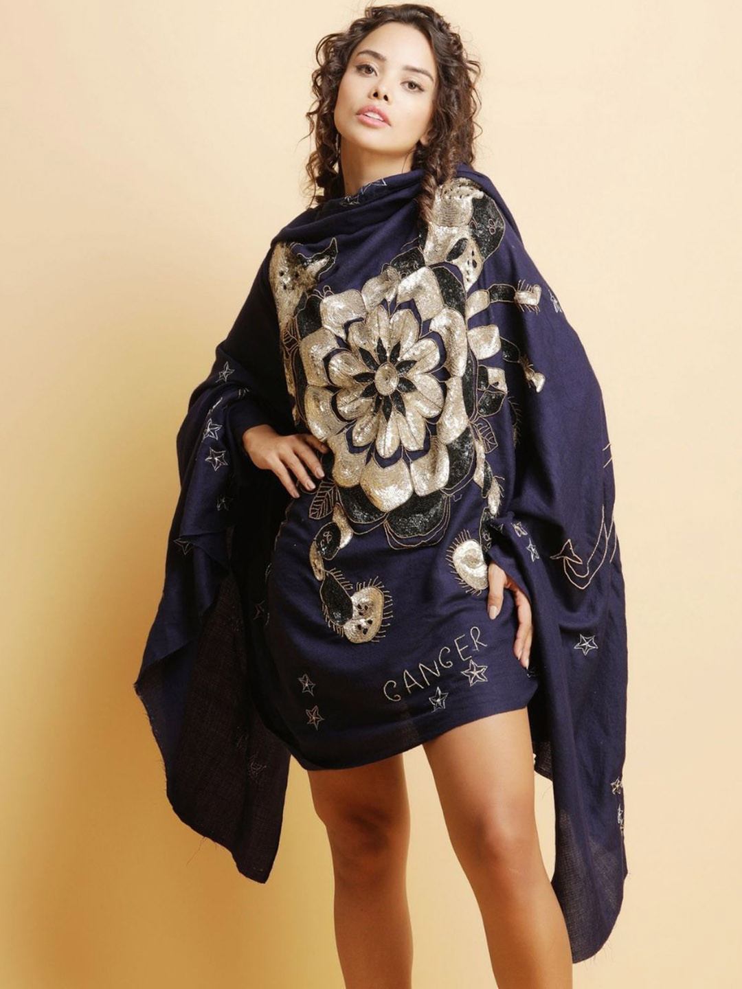

DUSALA INDIA Floral Embroidered Wool Sequence Pipe Work & Thread Work Shawl, Blue