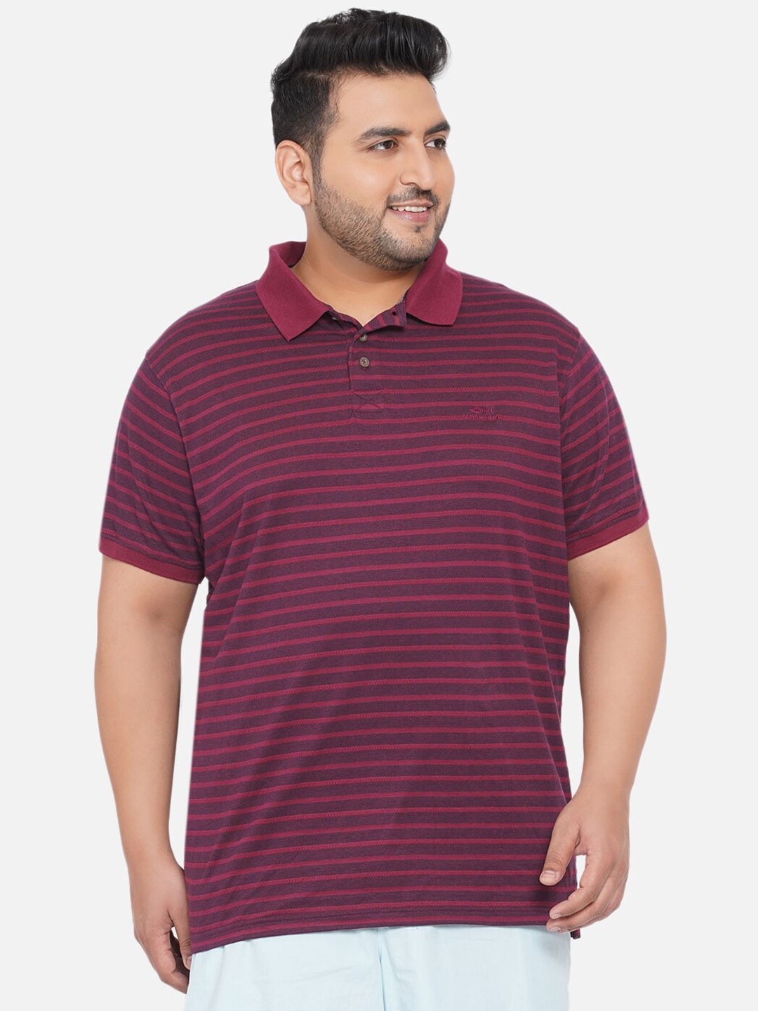 

Santonio Plus Size Striped Polo Collar Cotton T-shirt, Maroon
