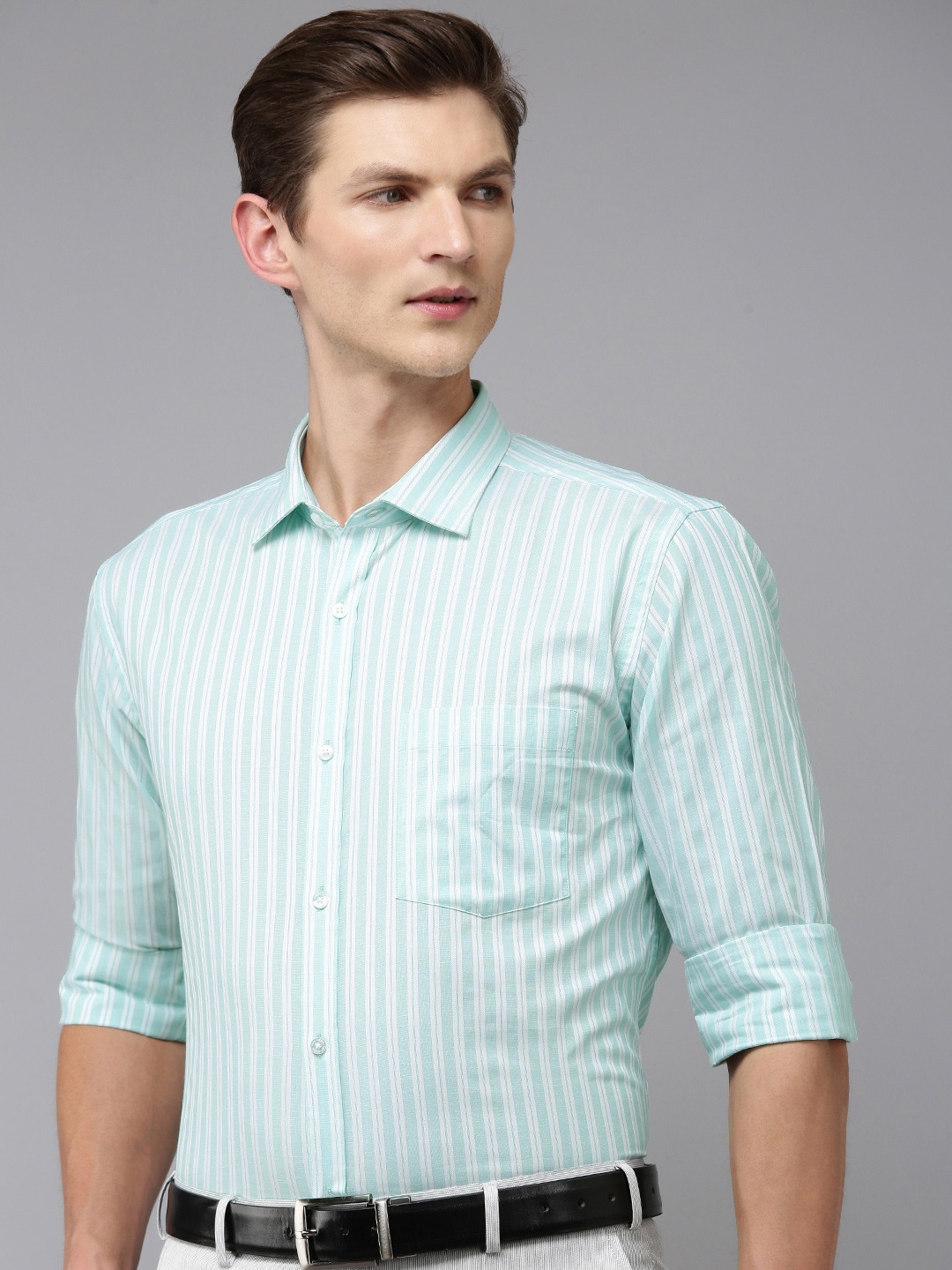

Park Avenue Slim Fit Opaque Striped Pure Cotton Formal Shirt, Sea green