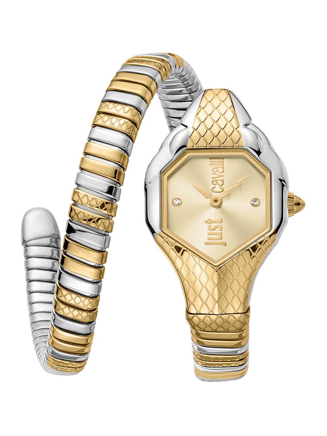 

Just Cavalli Women Stainless Steel Wrap Around Straps Watch JC1L190M0065, Silver