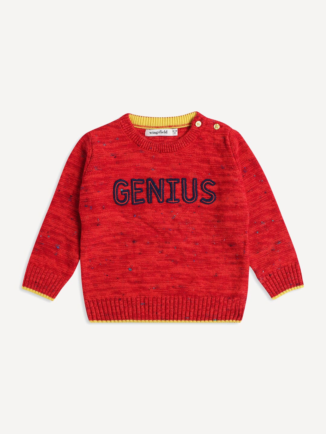 

Wingsfield Boys Embroidered Round Neck Acrylic Pullover, Red