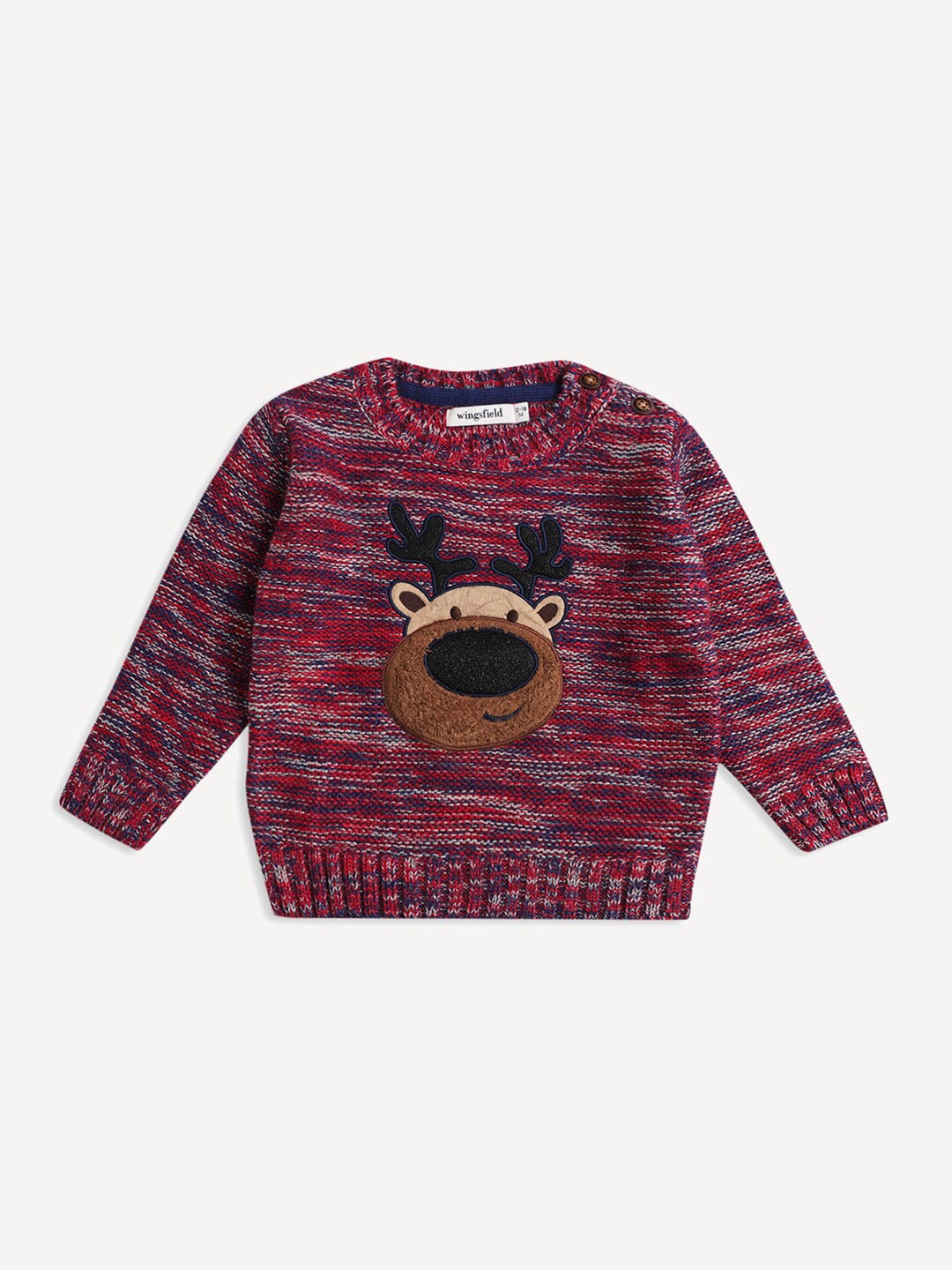 

Wingsfield Boys Embroidered Acrylic Pullover, Red