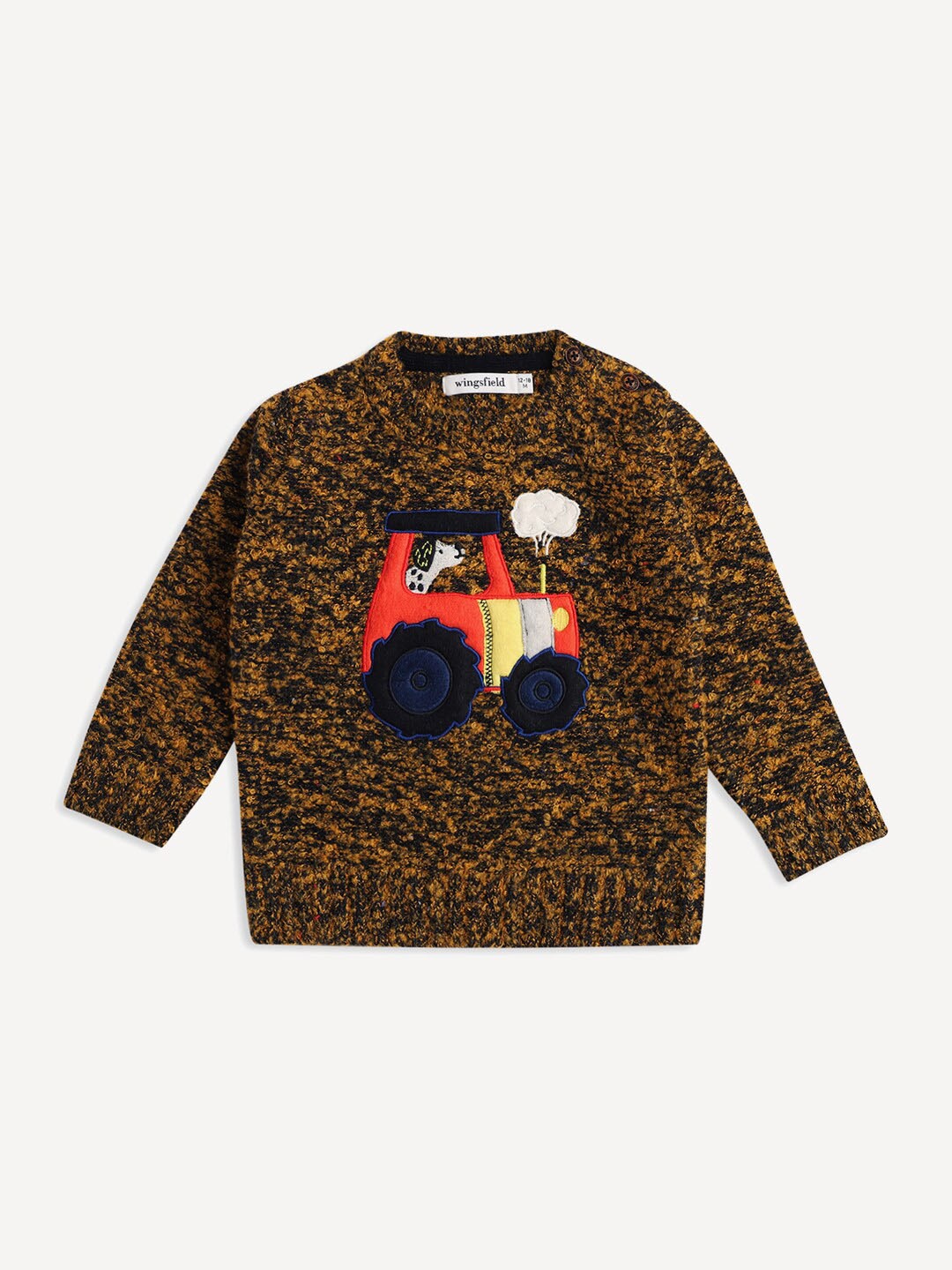 

Wingsfield Boys Embroidered Acrylic Pullover, Yellow