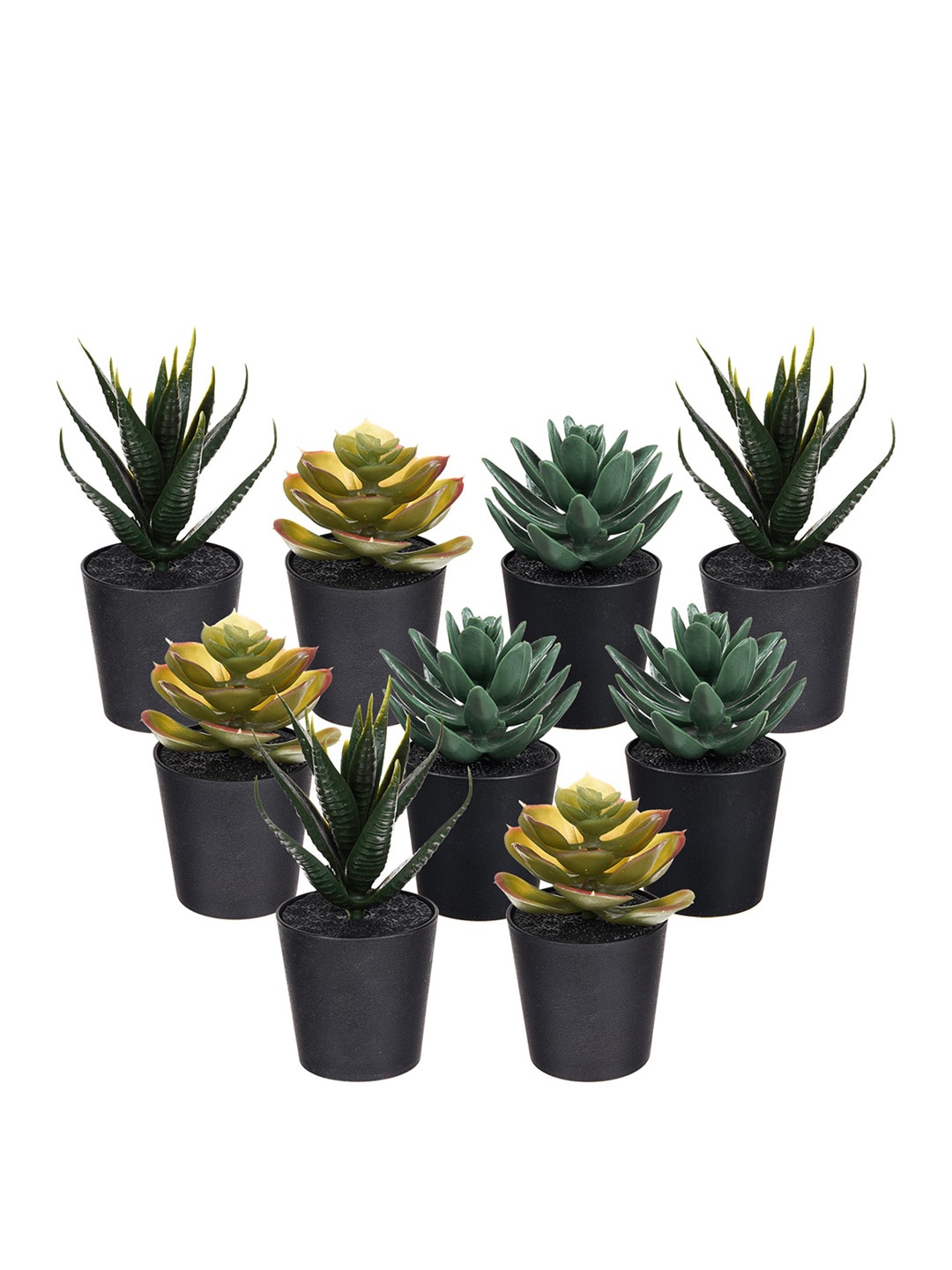 

Kuber Industries Black 9-Pieces Succulent Plant for Home Dcor