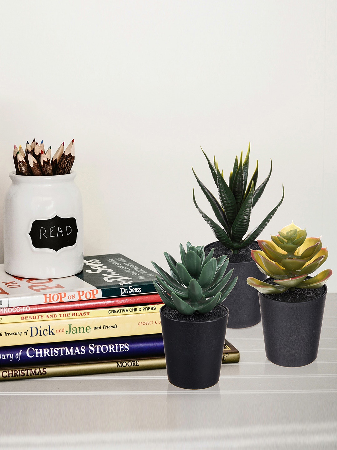 

Kuber Industries Black 6-Pieces Succulent Plants