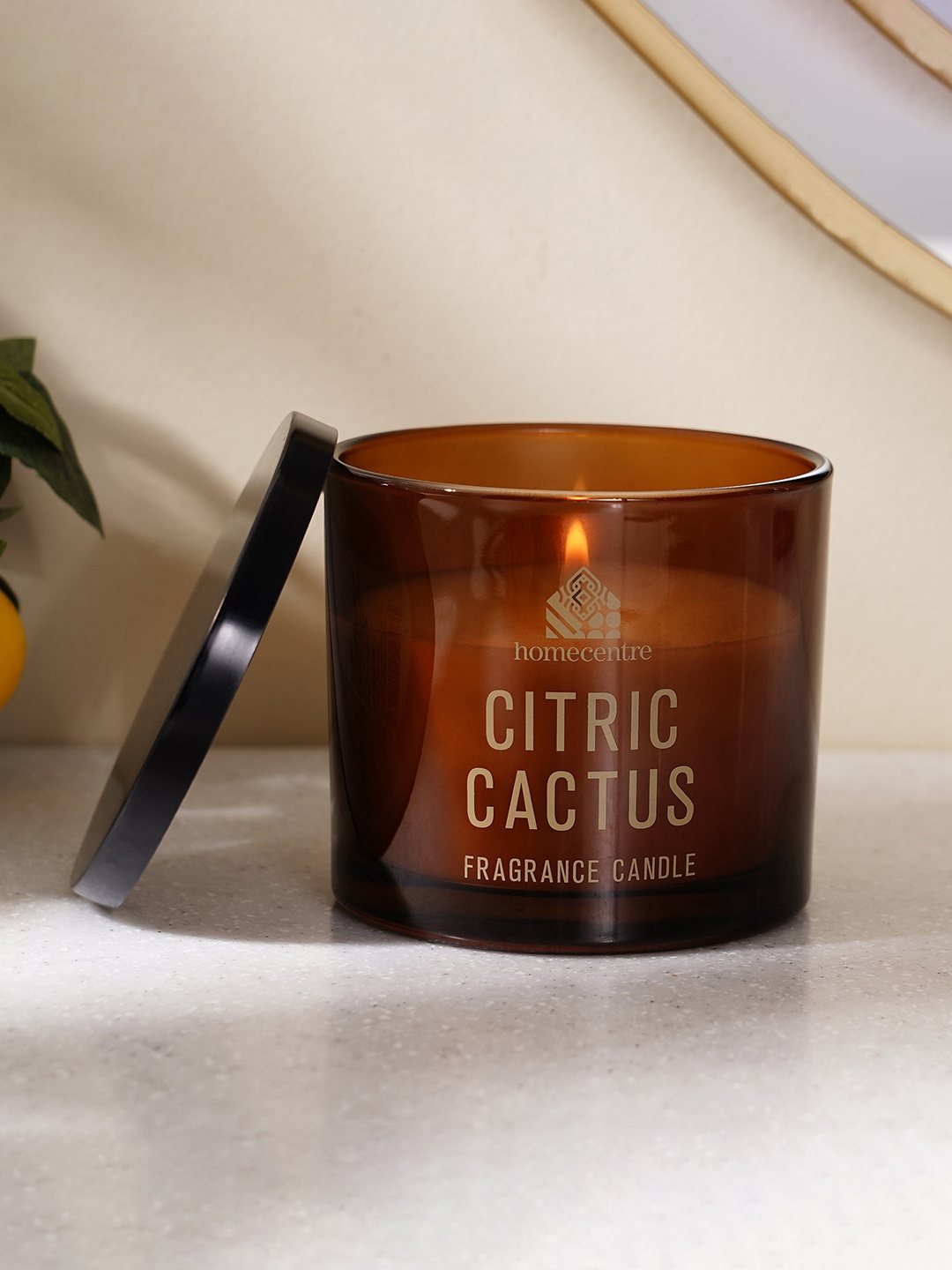 

Home Centre Enchanted Citrus Cactus Scented Jar Candle, White