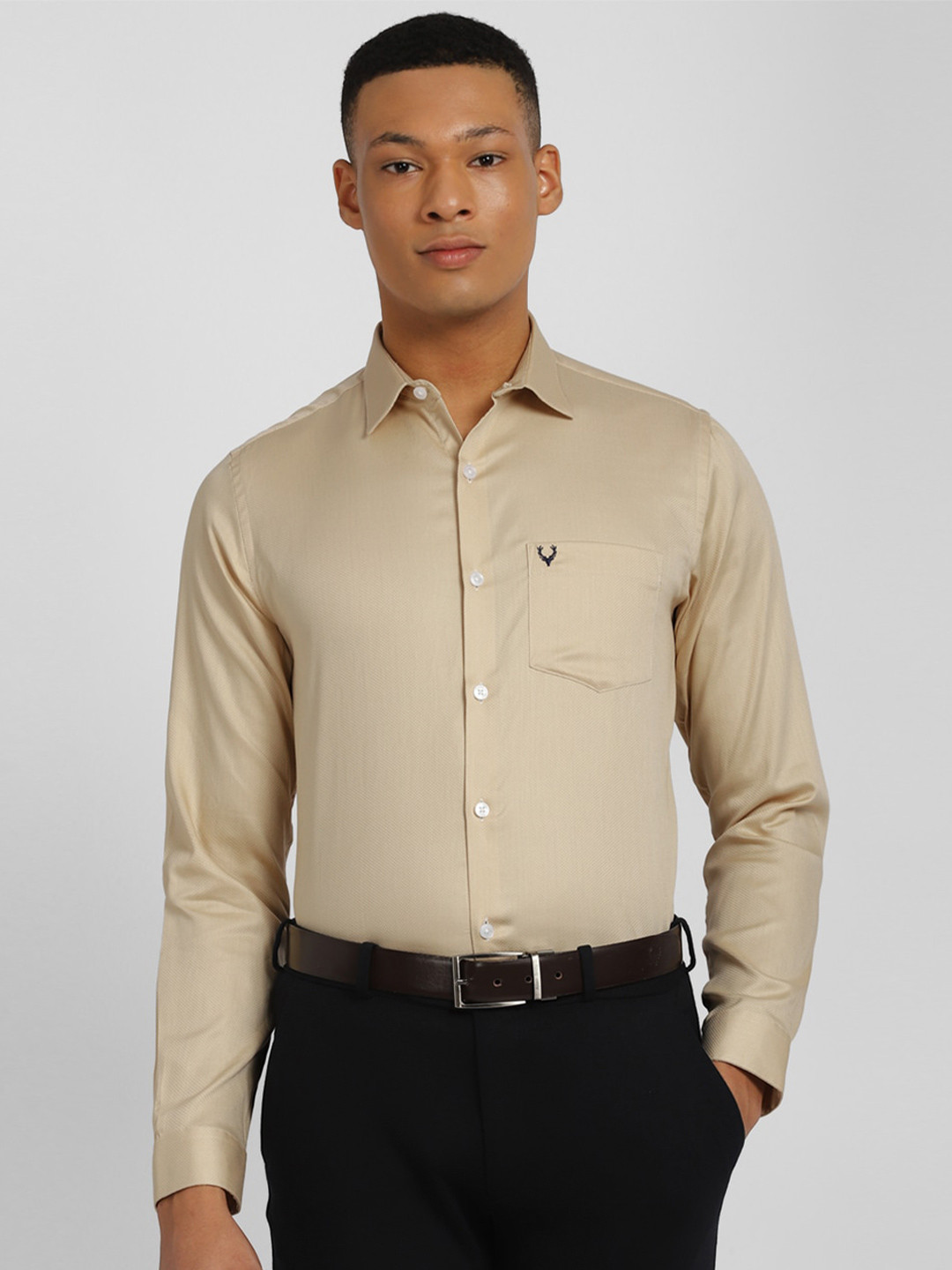 

Allen Solly Textured Pure Cotton Slim Fit Formal Shirt, Beige