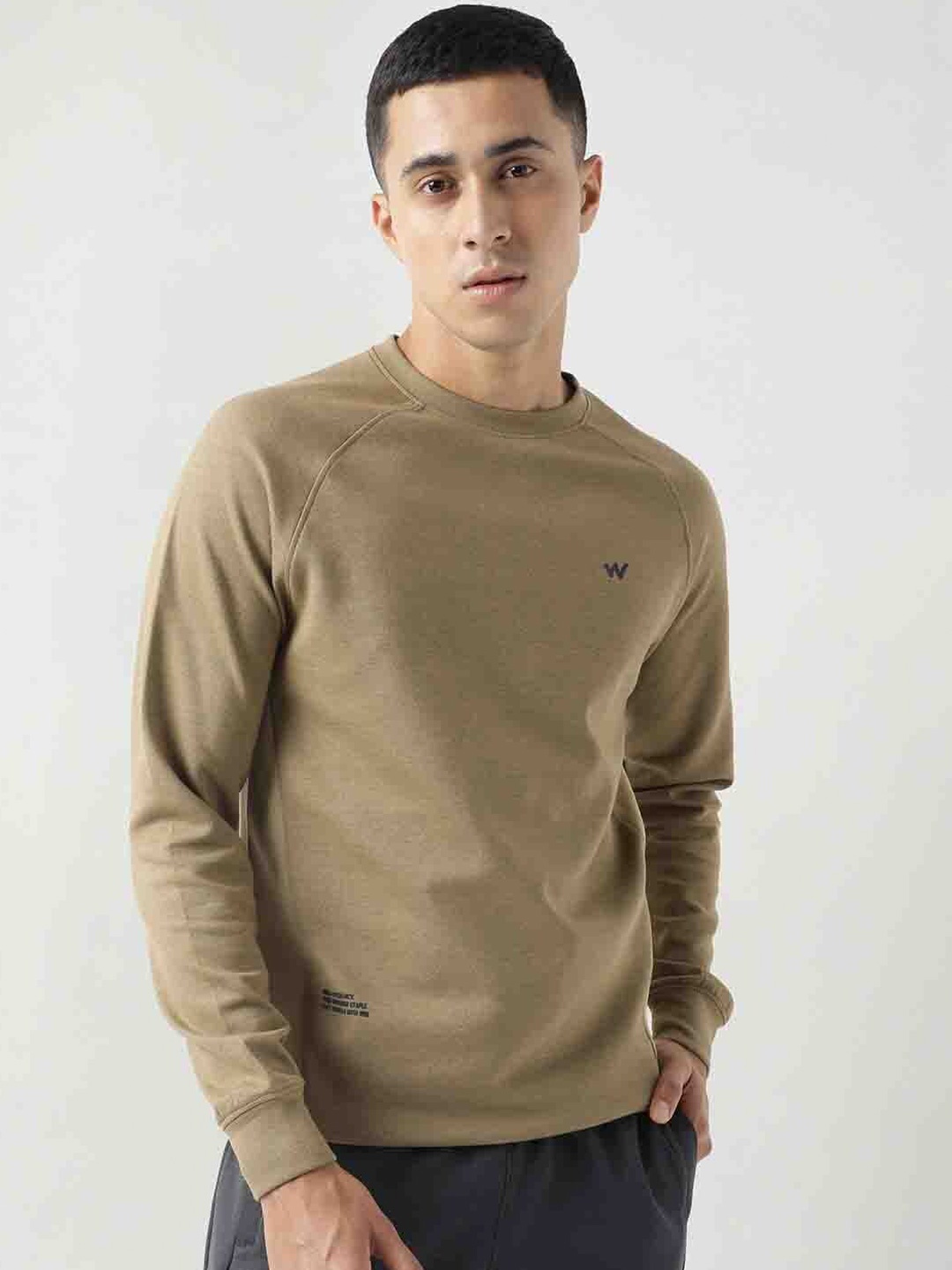 

Wildcraft Men Beige Sweatshirt