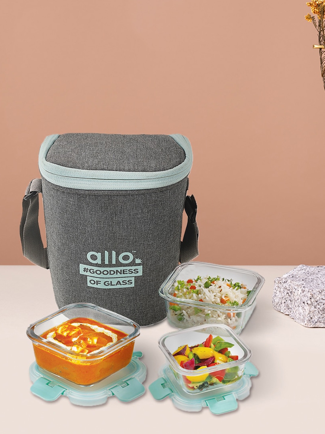 

Allo FoodSafe 4 Pieces Transparent & Grey Lunch Boxes With Bag 160ml 310ml