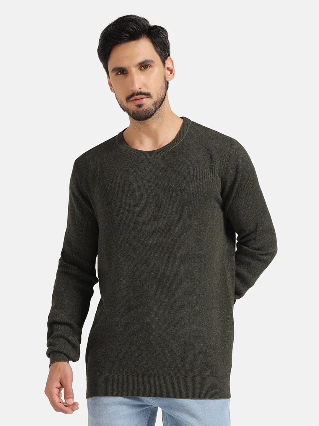 

Blackberrys Round Neck Cotton Pullover Sweater, Green