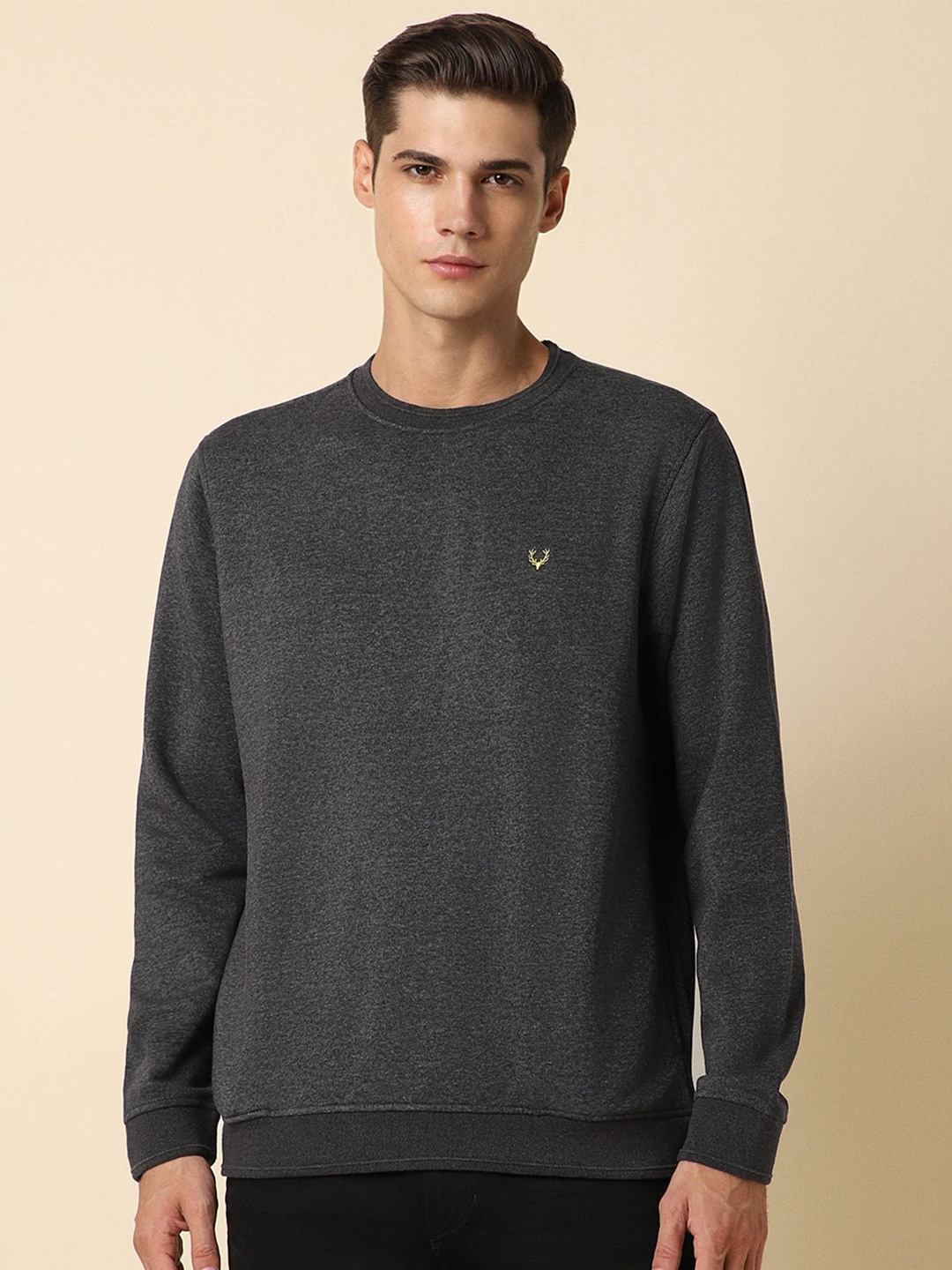 

Allen Solly Round Neck Pure Cotton Sweatshirt, Grey
