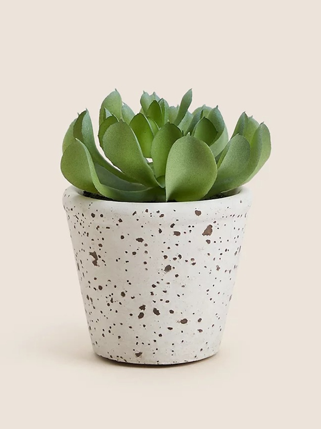 

Marks & Spencer Green Succulent Artificial Plant With White Pot