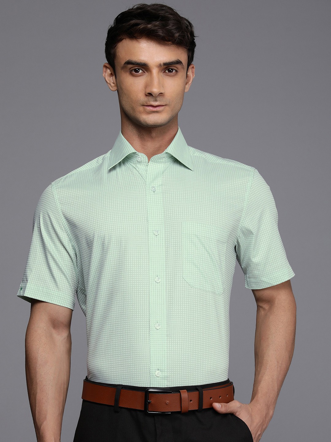 

Louis Philippe Micro Checked Pure Cotton Formal Shirt, Green