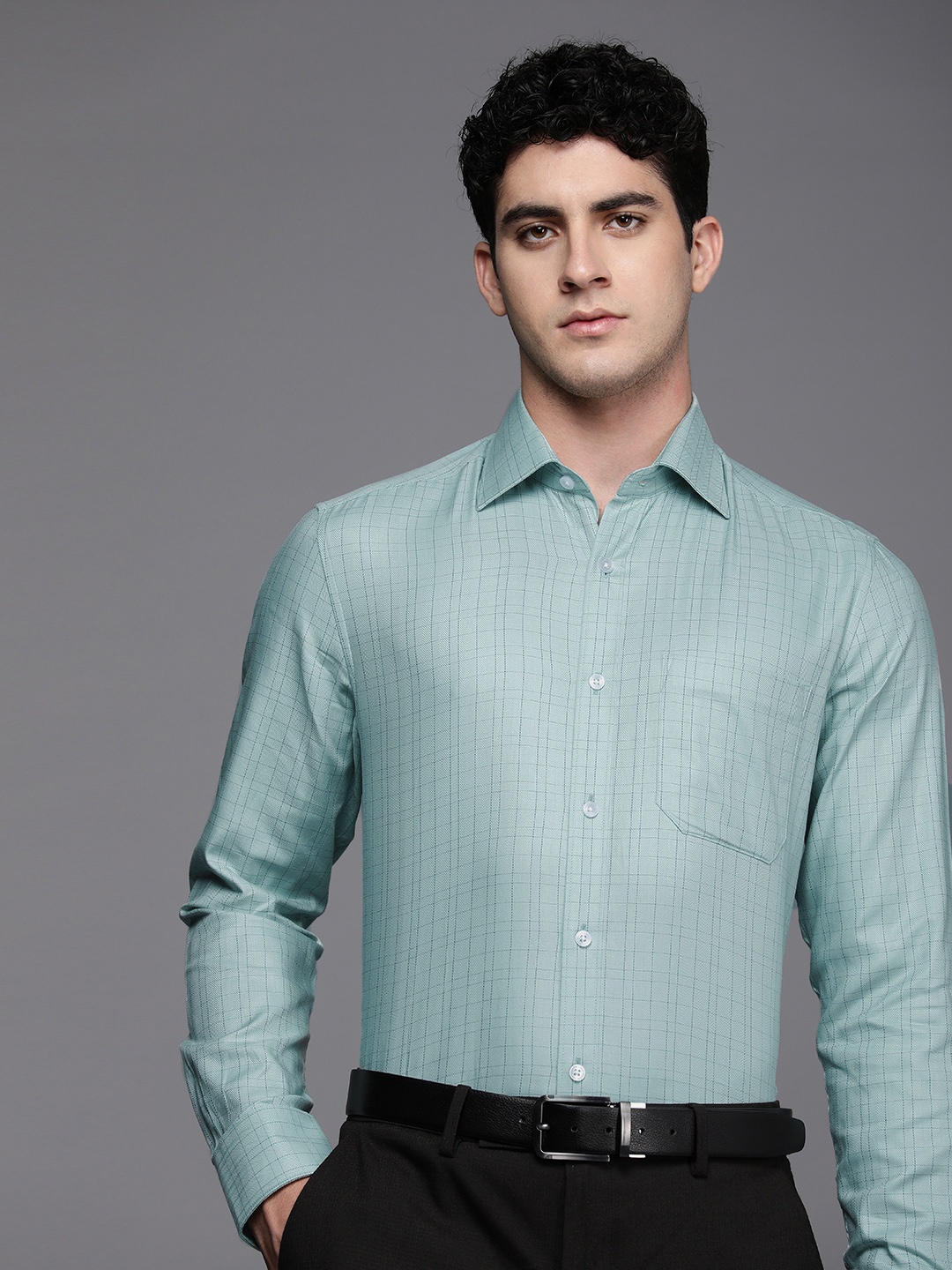 

Louis Philippe Pure Cotton Classic Fit Checked Formal Shirt, Green