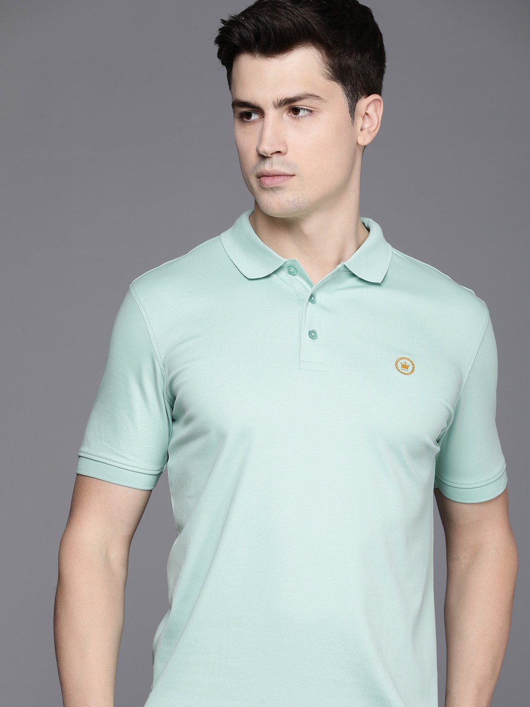 

Louis Philippe Polo Collar Pure Cotton T-shirt, Green