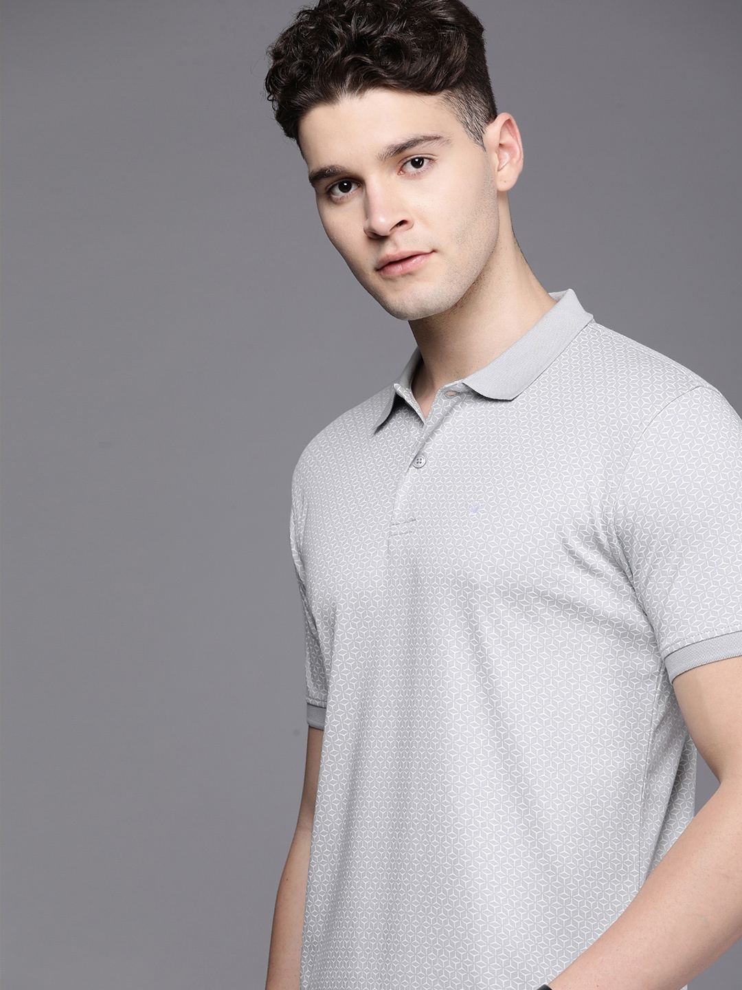 

Louis Philippe Men Printed Polo Collar Pure Cotton T-shirt, Grey melange