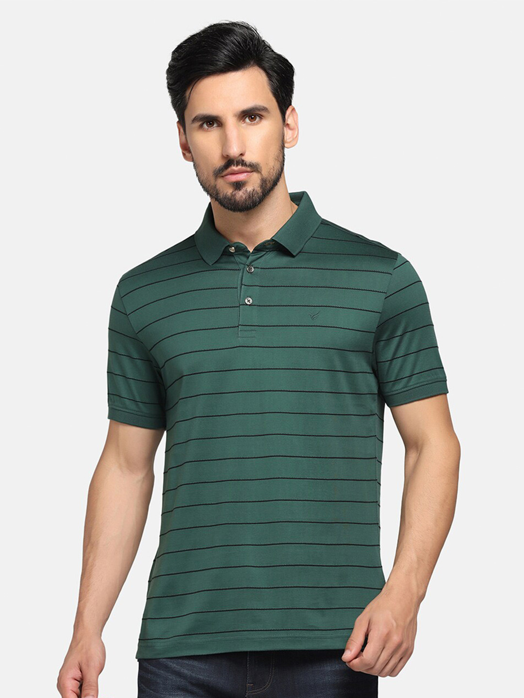 

Blackberrys Striped Polo Collar Slim Fit Cotton T-shirt, Green