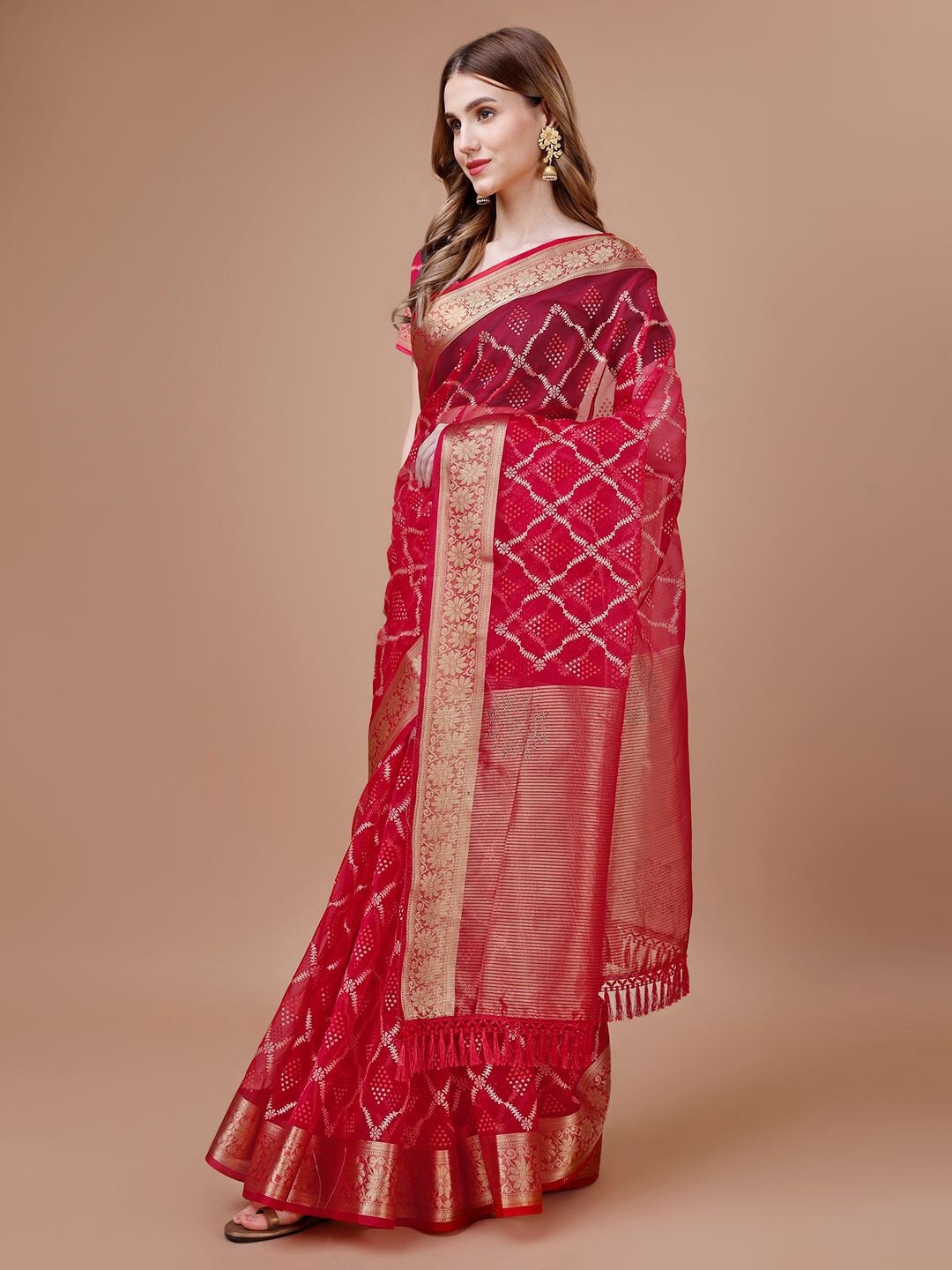 

Indian Women Ethnic Motifs Printed Organza Saree, Maroon