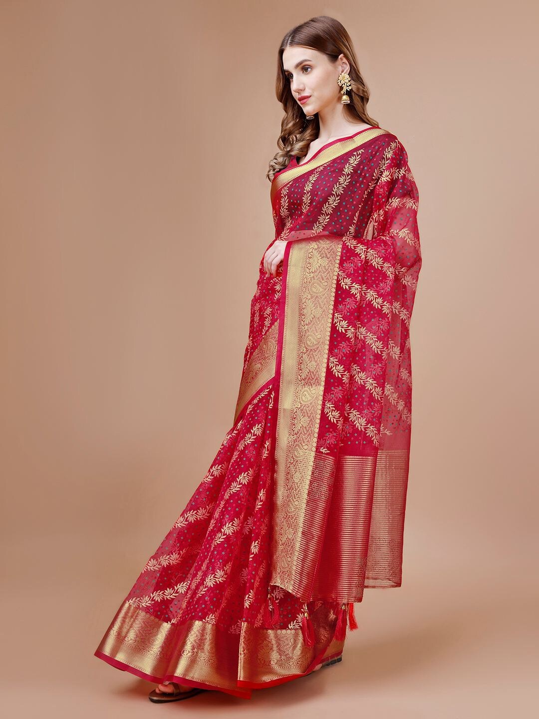 

Indian Women Ethnic Motifs Printed Foil Print Saree, Pink