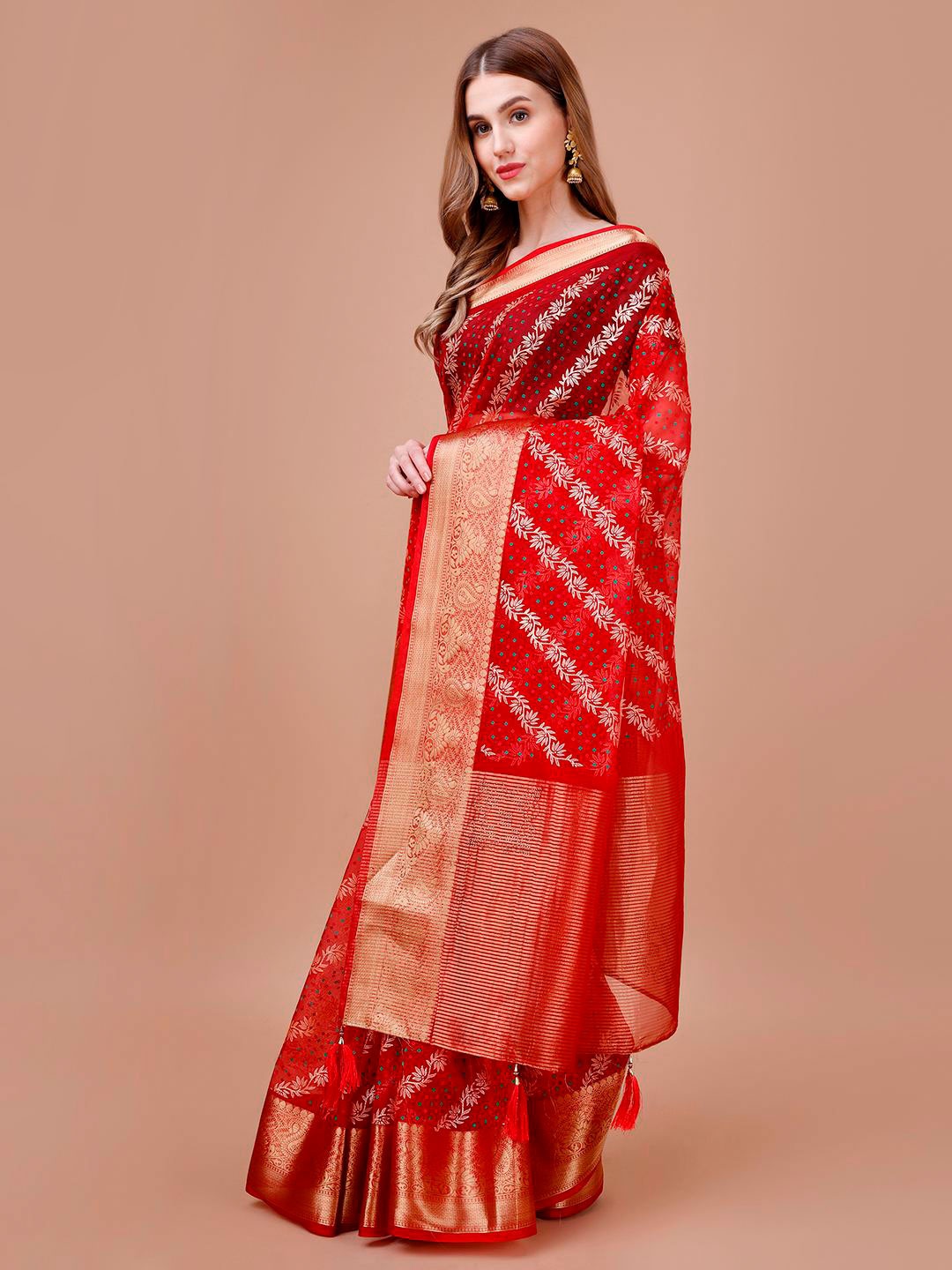 

Indian Women Floral Woven Design Zari Organza Saree, Red