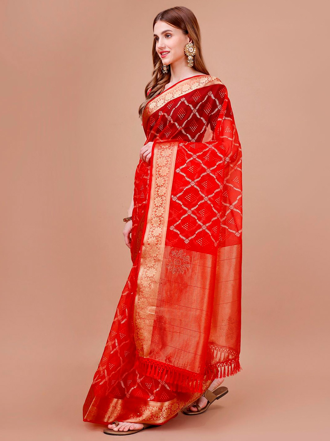 

Indian Women Floral Printed Organza Saree, Red