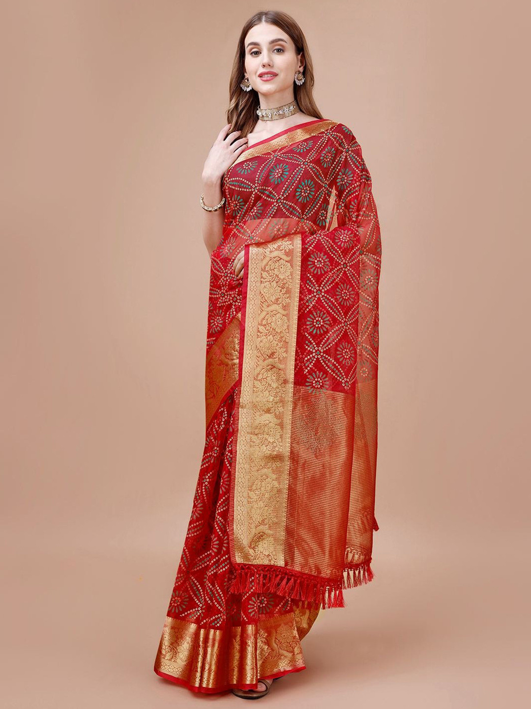

Indian Women Floral Printed Organza Saree, Maroon