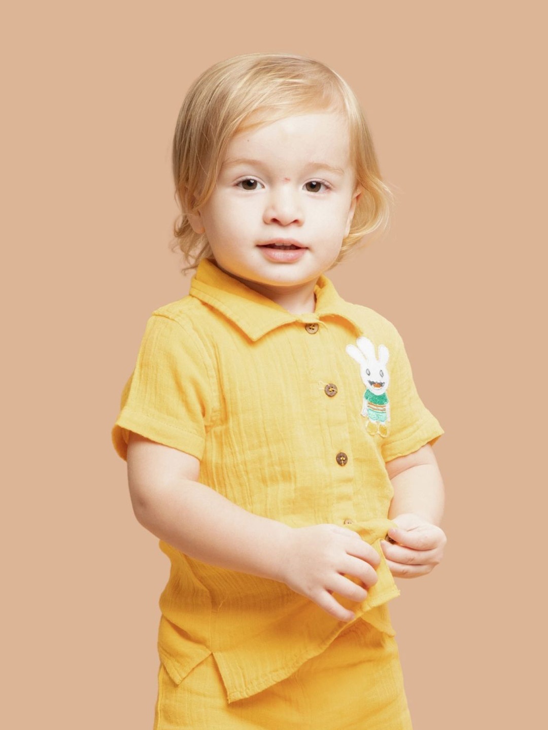 

Greendeer Kids Smart Applique Cotton Casual Shirt, Yellow