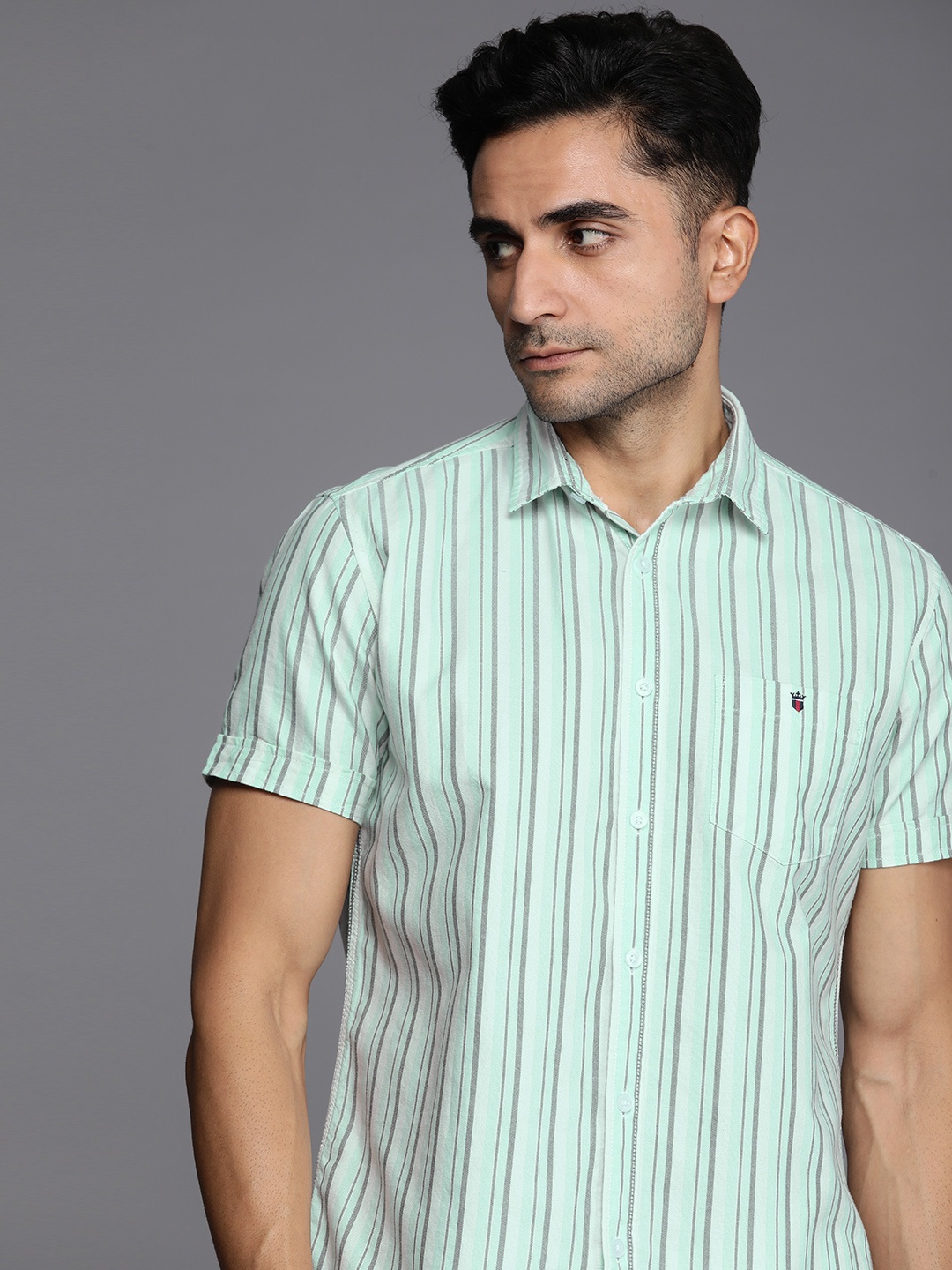

Louis Philippe Jeans Slim Fit Striped Pure Cotton Casual Shirt, Green