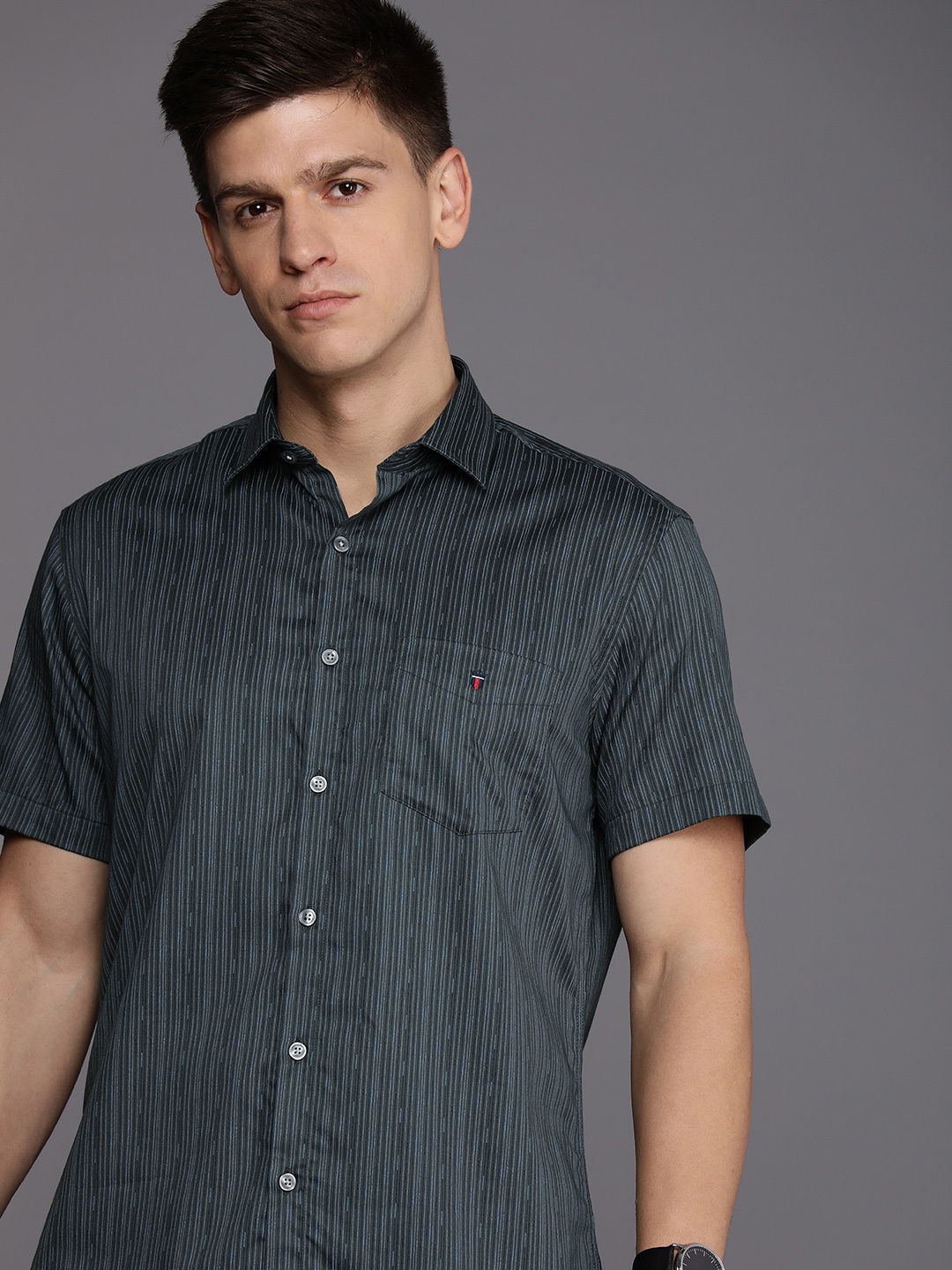 

Louis Philippe Sport Pure Cotton Slim Fit Opaque Striped Casual Shirt, Grey