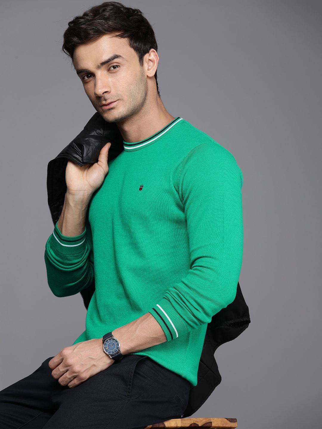 

Louis Philippe Sport Pure Cotton Solid Pullover Sweaters, Green