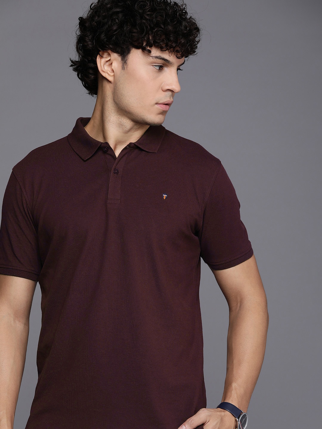 

Louis Philippe Sport Solid Polo Collar Slim Fit T-shirt, Burgundy