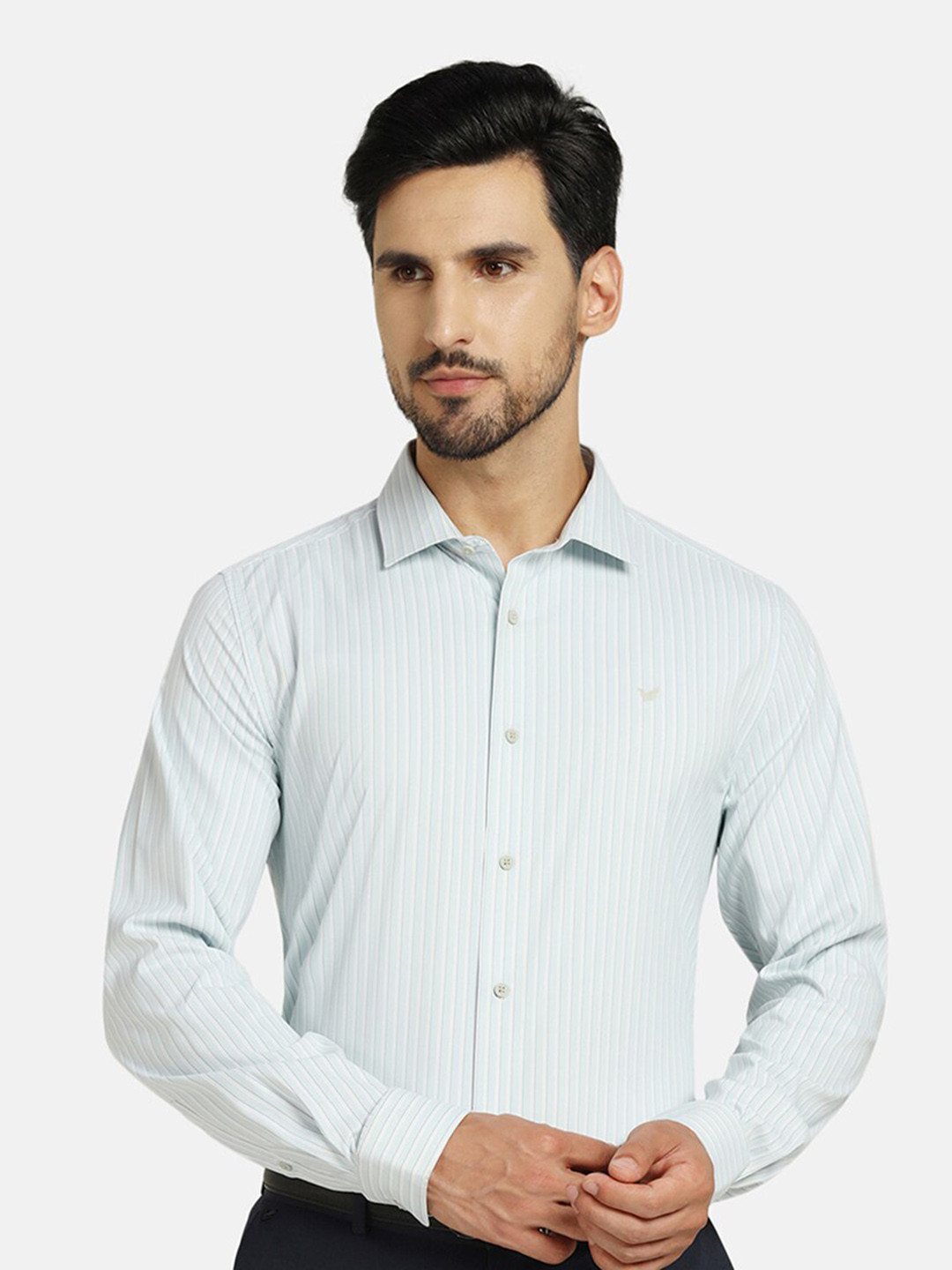 

Blackberrys TechPro Men Sage Green Striped Formal Shirts