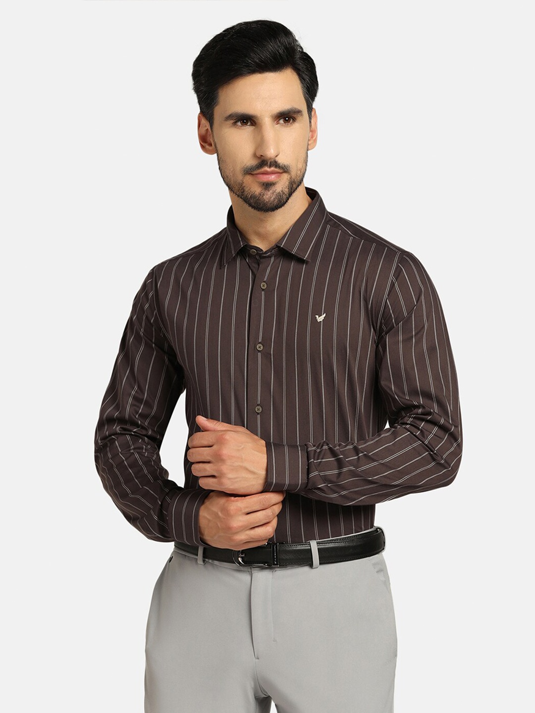

Blackberrys TechPro Men Brown Striped Formal Shirts