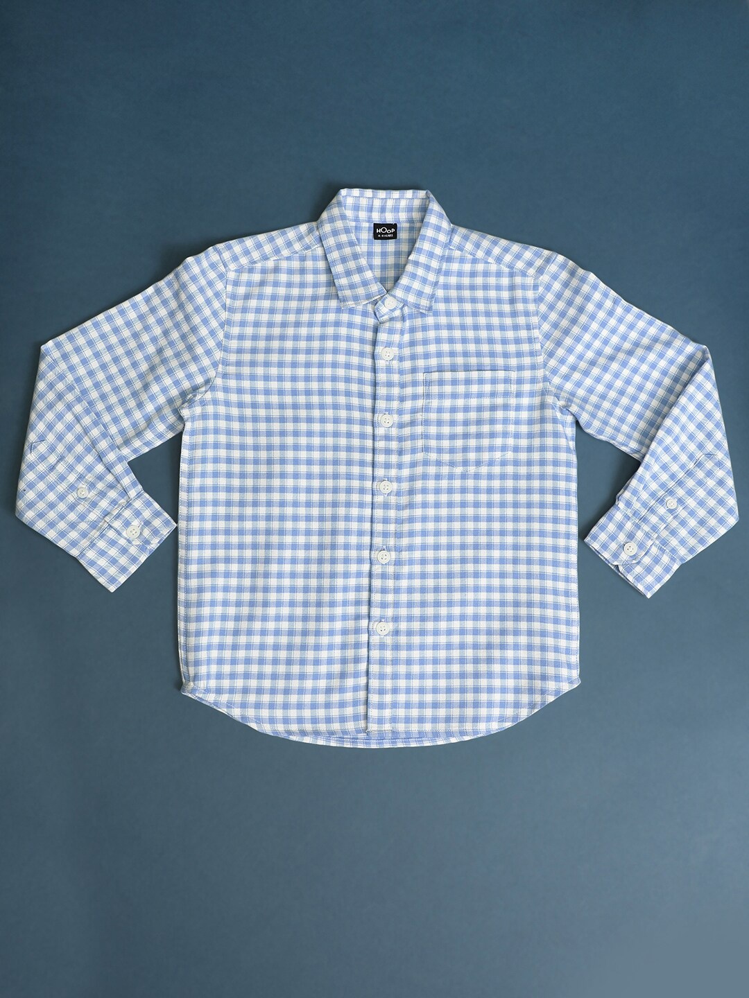 

Hoop Boys Regular Fit Gingham Checks Cotton Casual Shirt, Blue