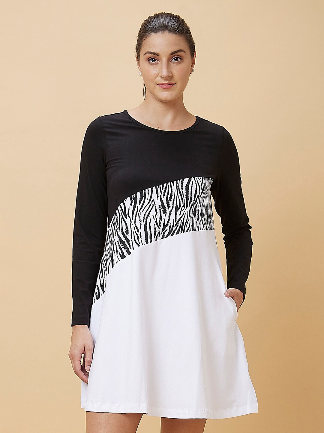 

Being Human Round Neck Colourblocked A-Line Dress, Black