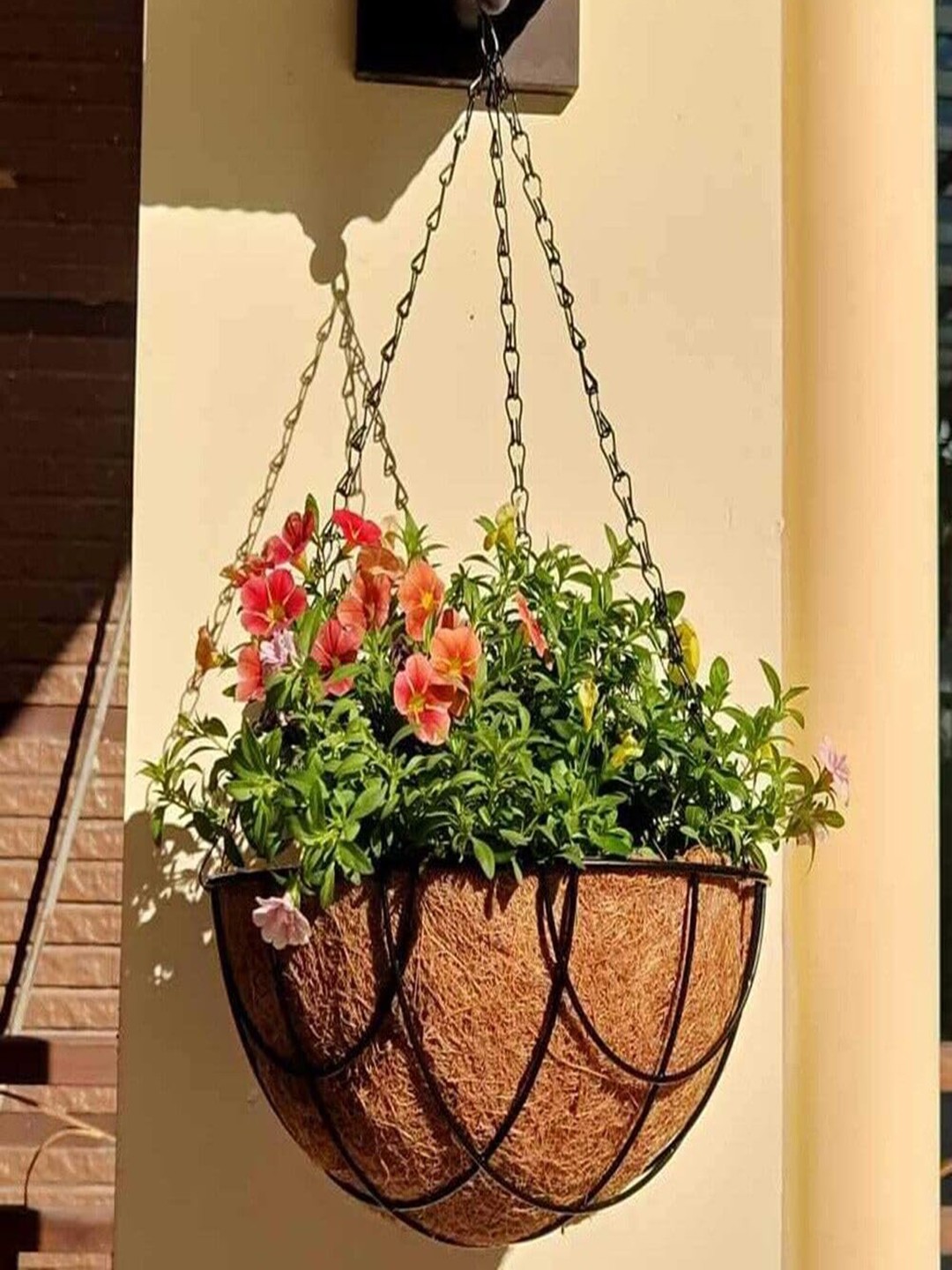 

Garden Deco Black & Brown 6 Pieces Coco Coir Hanging Basket Planters