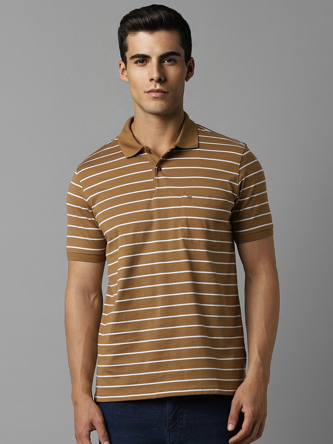 

Louis Philippe Men Brown Striped Polo Collar Pockets T-shirt