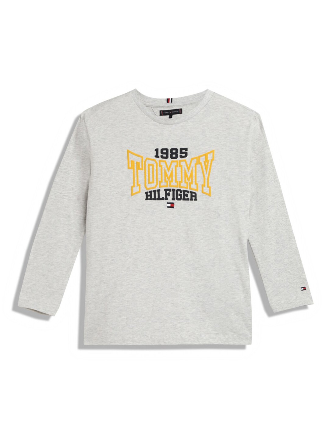 

Tommy Hilfiger Boys Typography Printed Cotton T-shirt, Grey