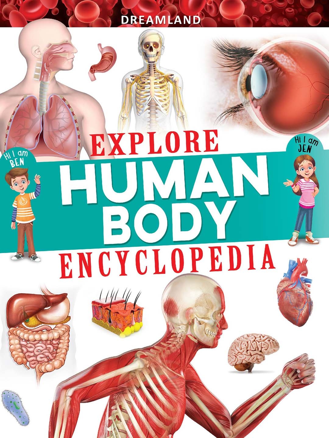 

Dreamland Kids Explore Human Body Encyclopedia Book, White