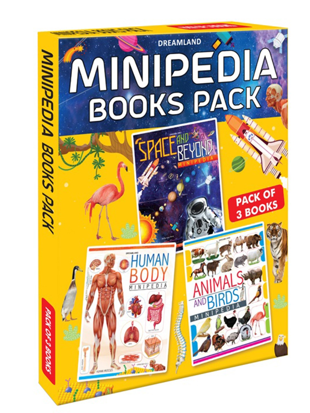 

Dreamland Kinds Set Of 3 Minipedia Series Book Learning and Development Toys, Blue