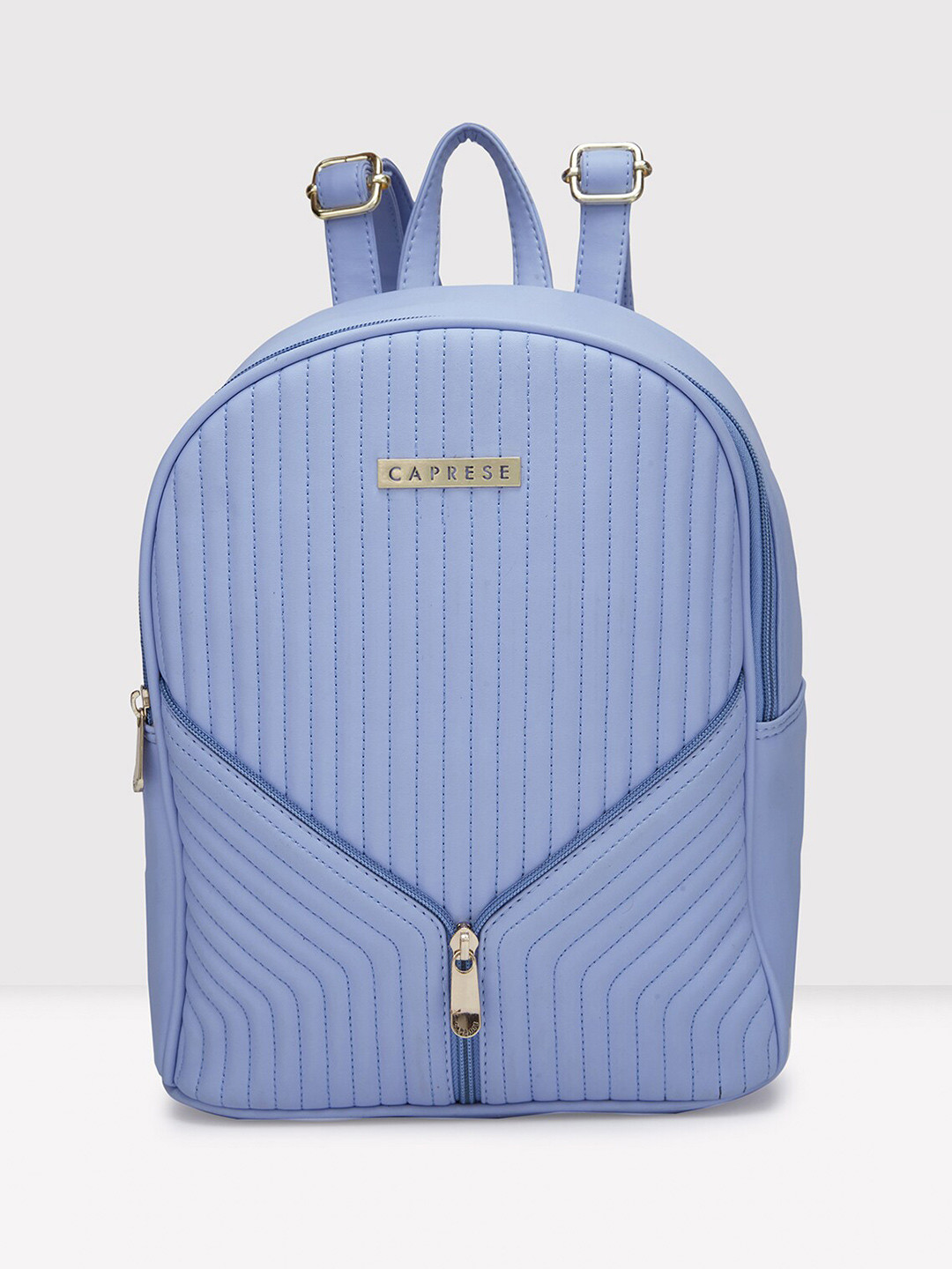 

Caprese Women Striped Leather Backpack, Blue
