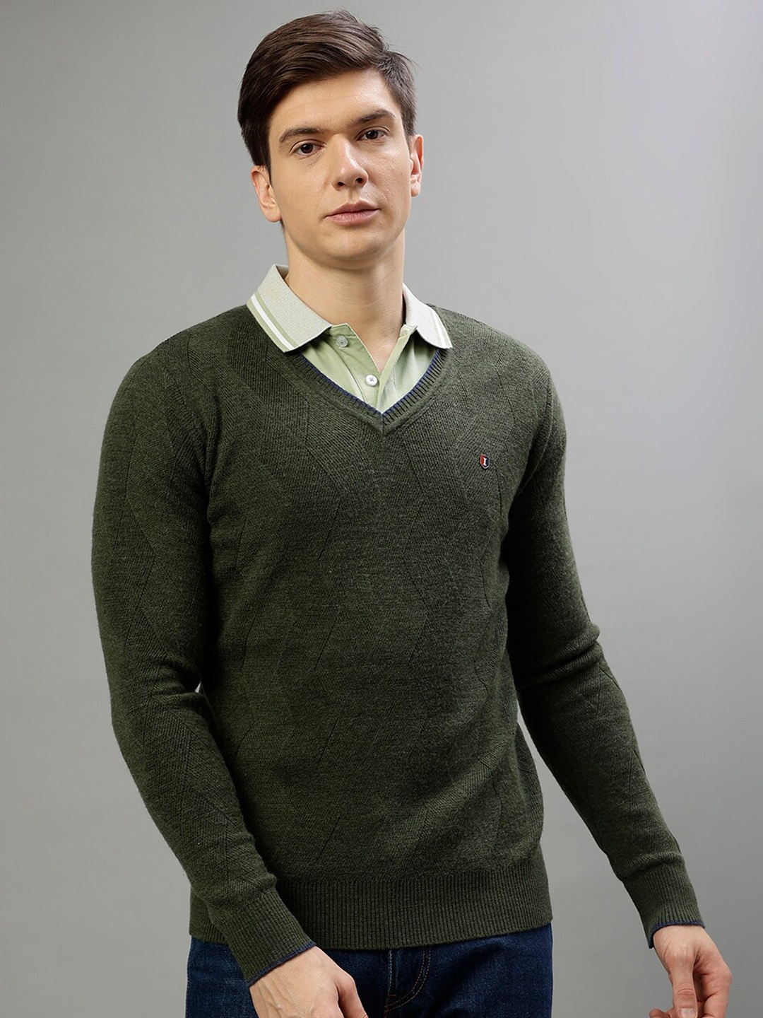 

Iconic Self Designed V-Neck Pullover, Green