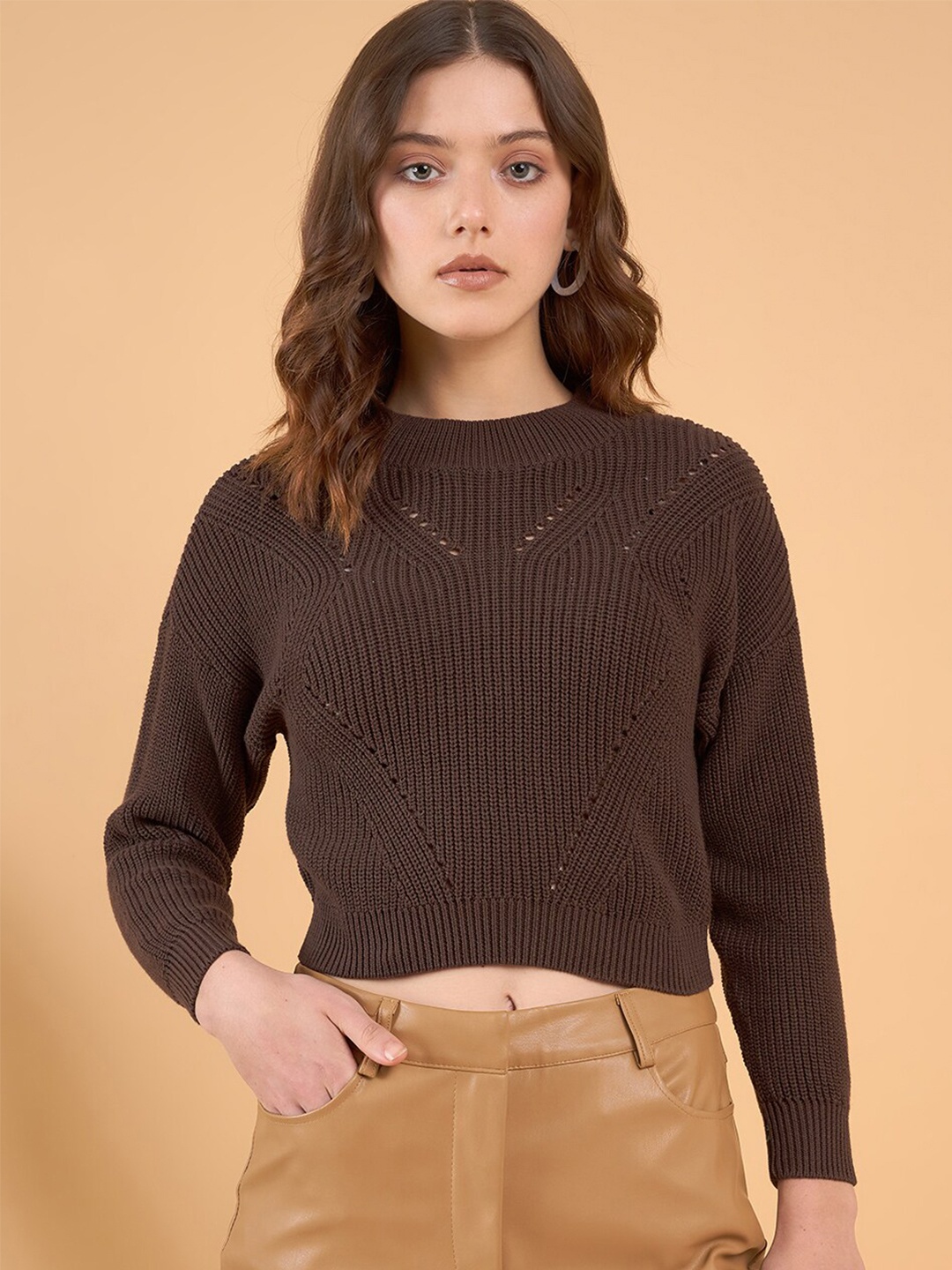 

STYLE BLUSH Open Knit Self Design Acrylic Pullover, Brown