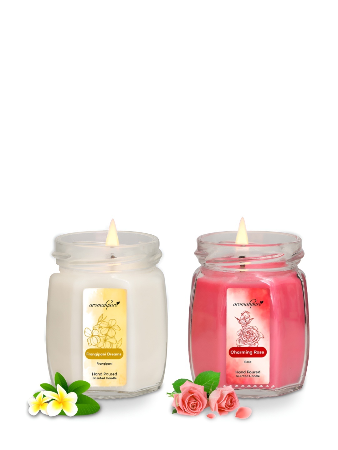 

Aromahpure White & Pink Frangipani & Rose Fragrance Scented Candle